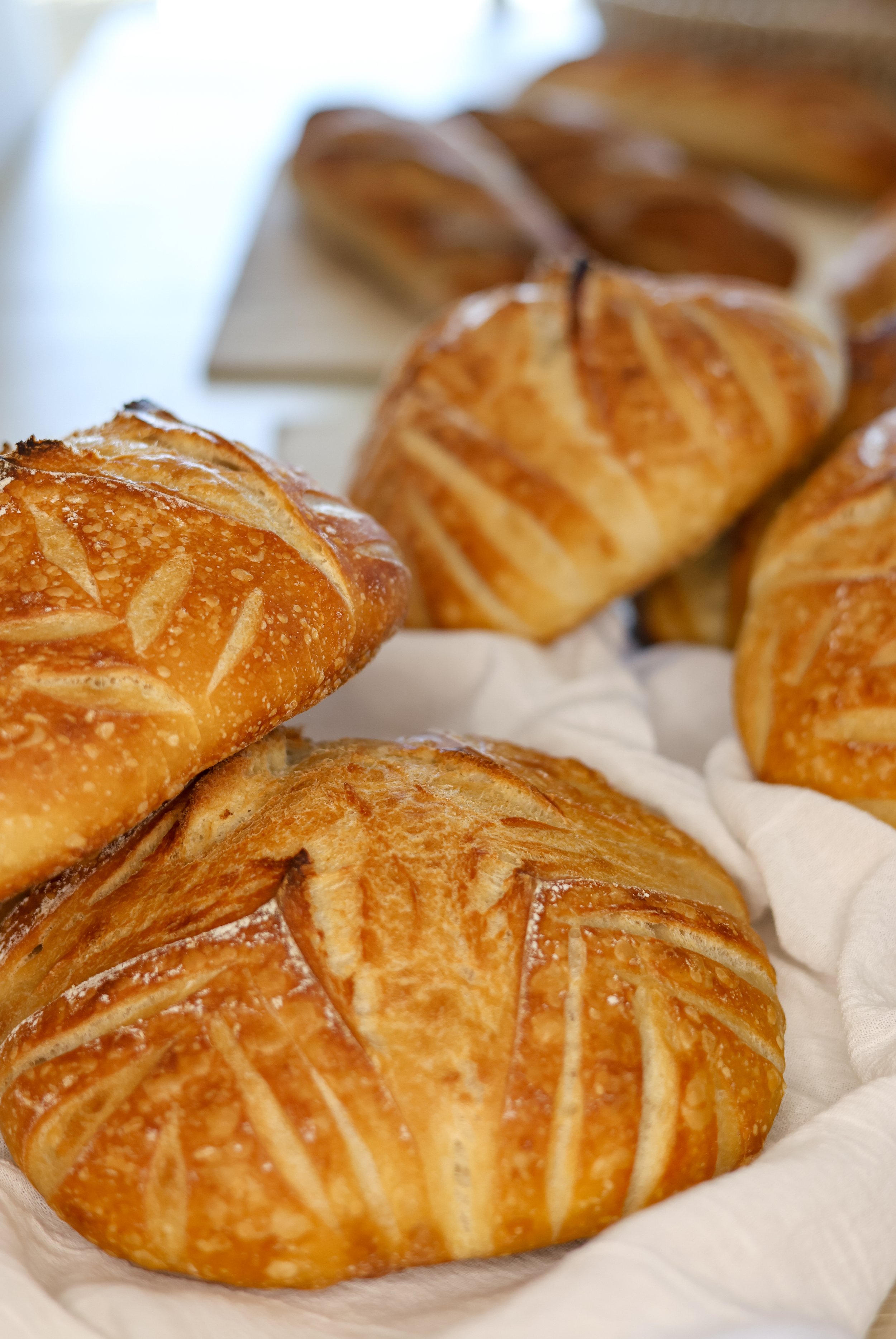 A Year of Sourdough: Lessons in Flour, Faith, and Fermentation