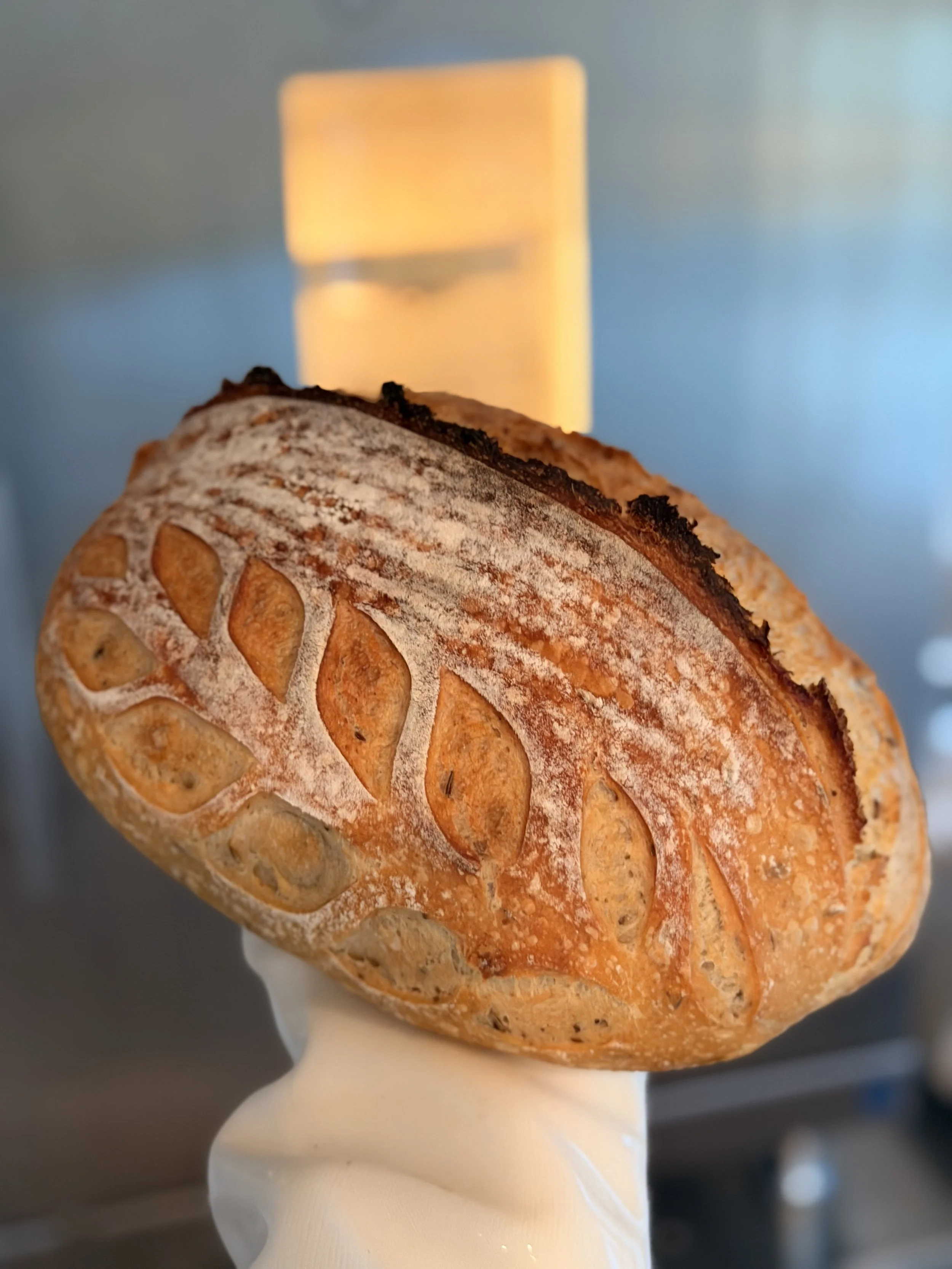 Fermented Faith:How Sourdough Brought Me Back to God