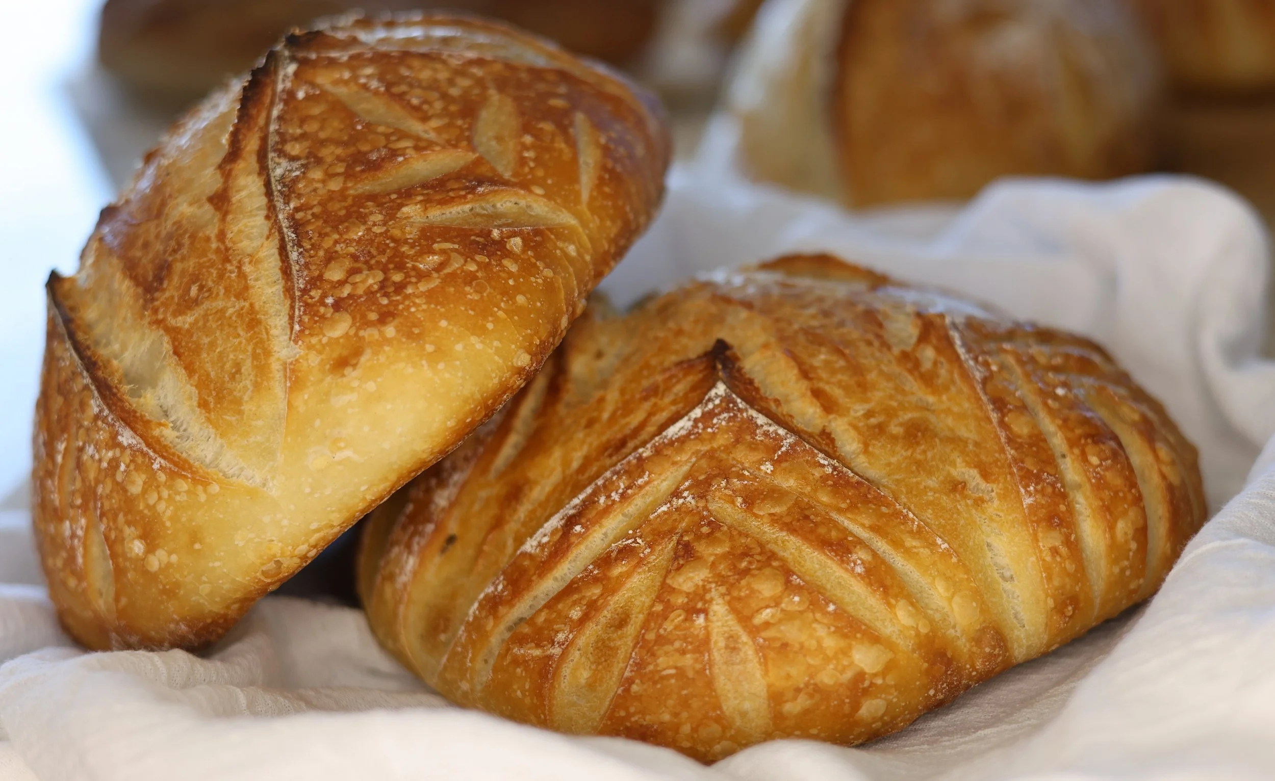 From Sobriety to Sourdough:  Building a New Foundation