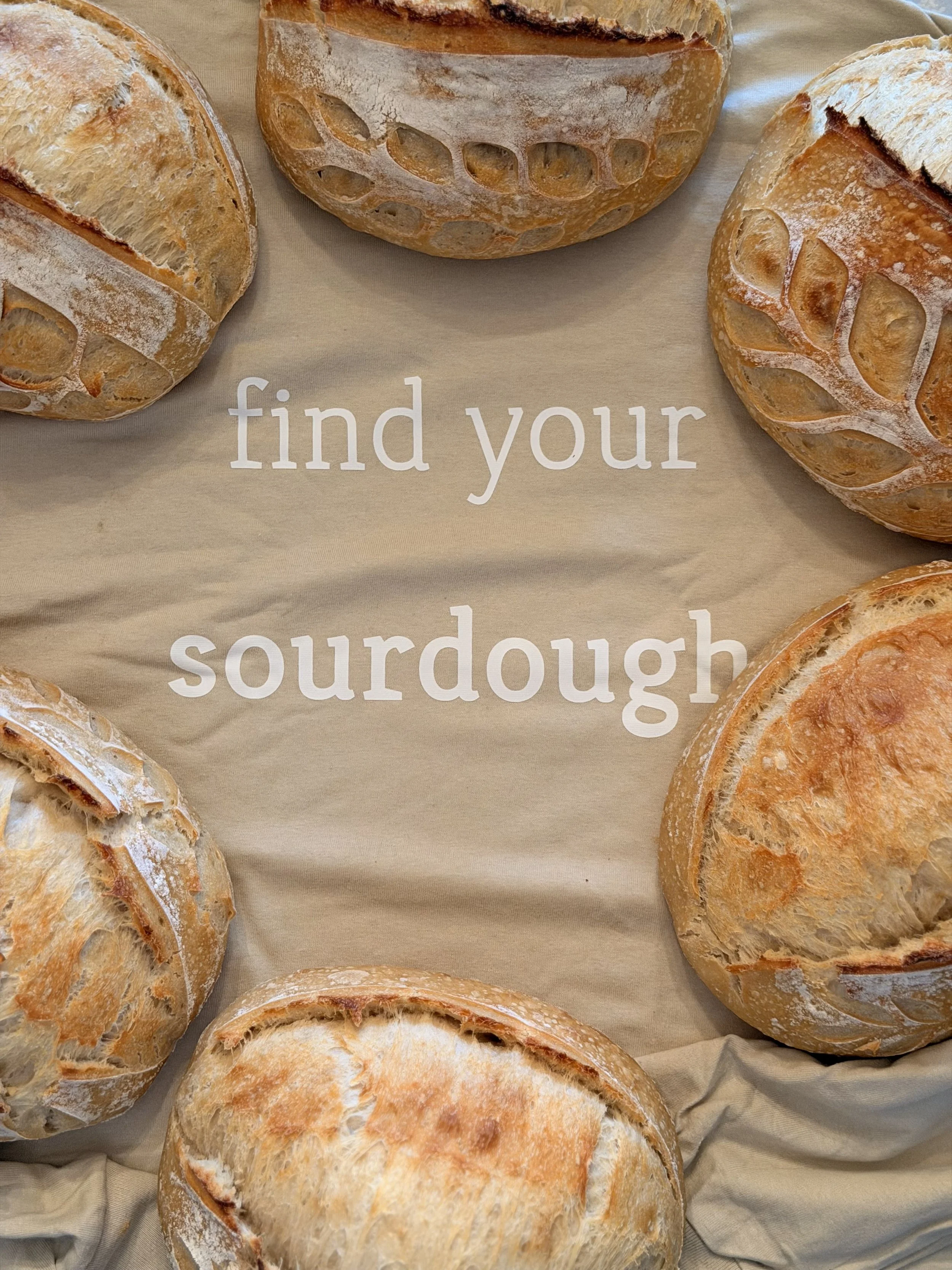 Face Everything And Rise:  What Sourdough Taught Me About Fear