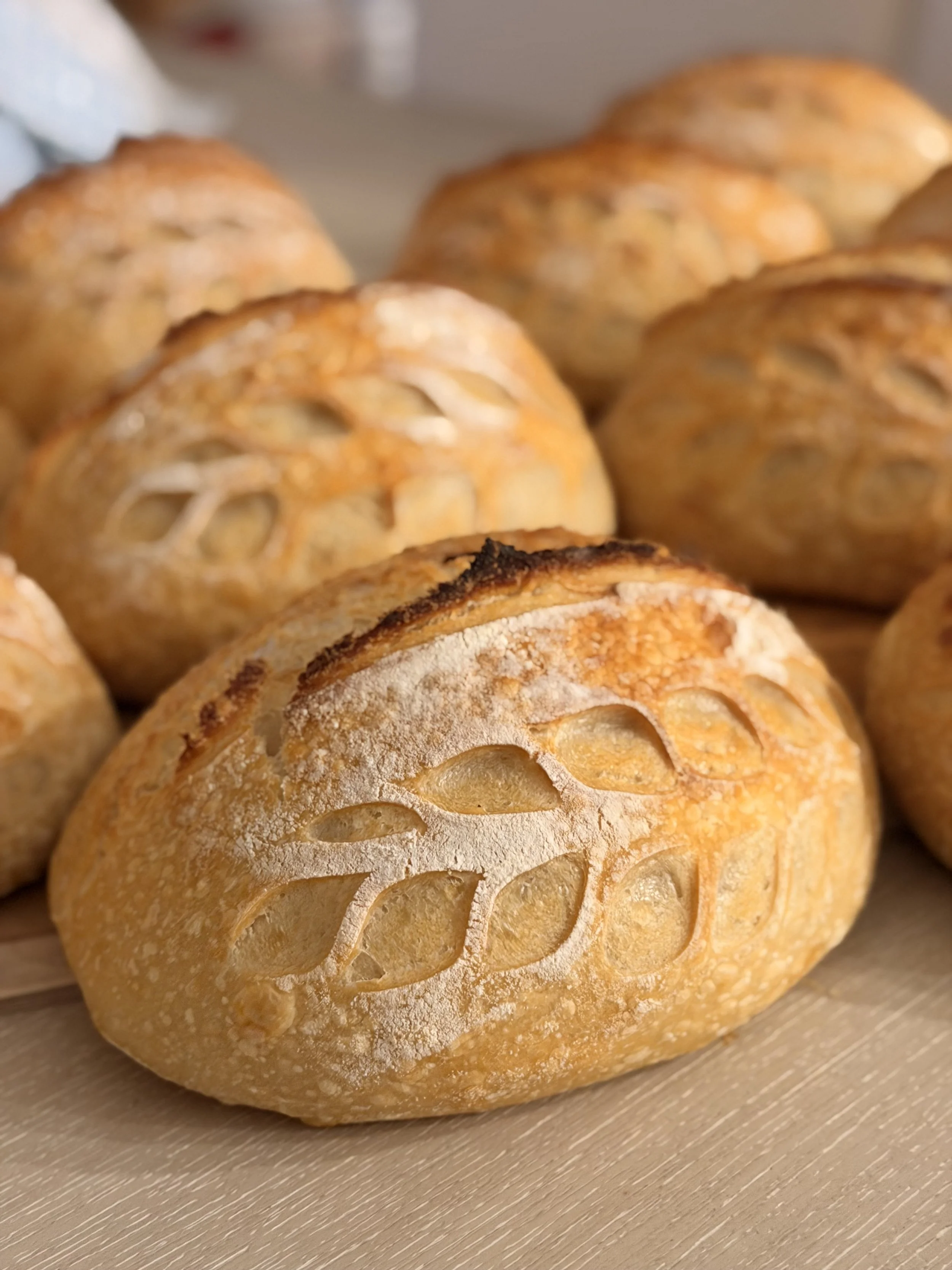 Loaves, Limits, and Letting Go: What Sourdough Is Teaching Me About Expectations