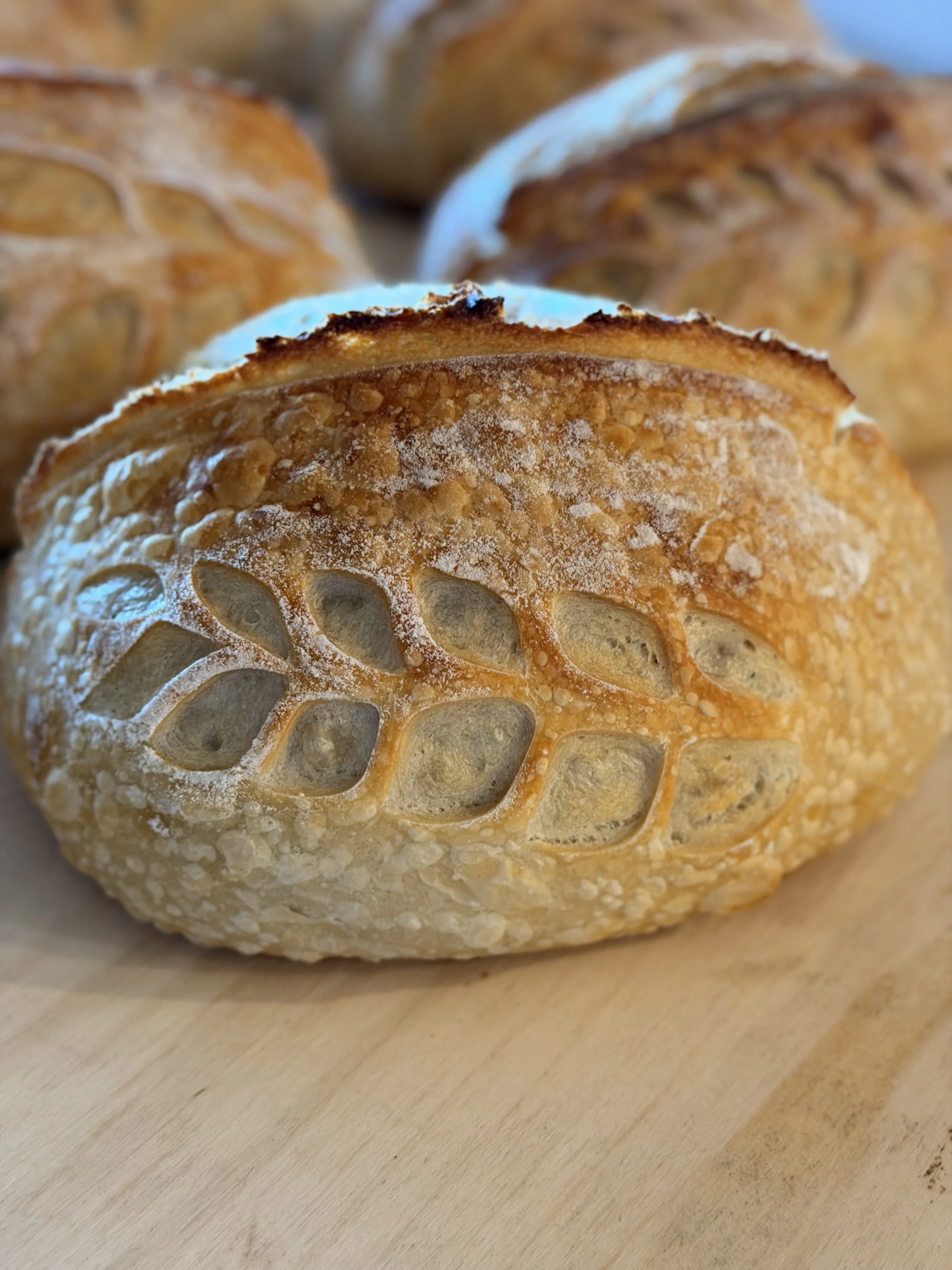 Becoming “The Bread Lady”: Counting Blessings, Not Loaves