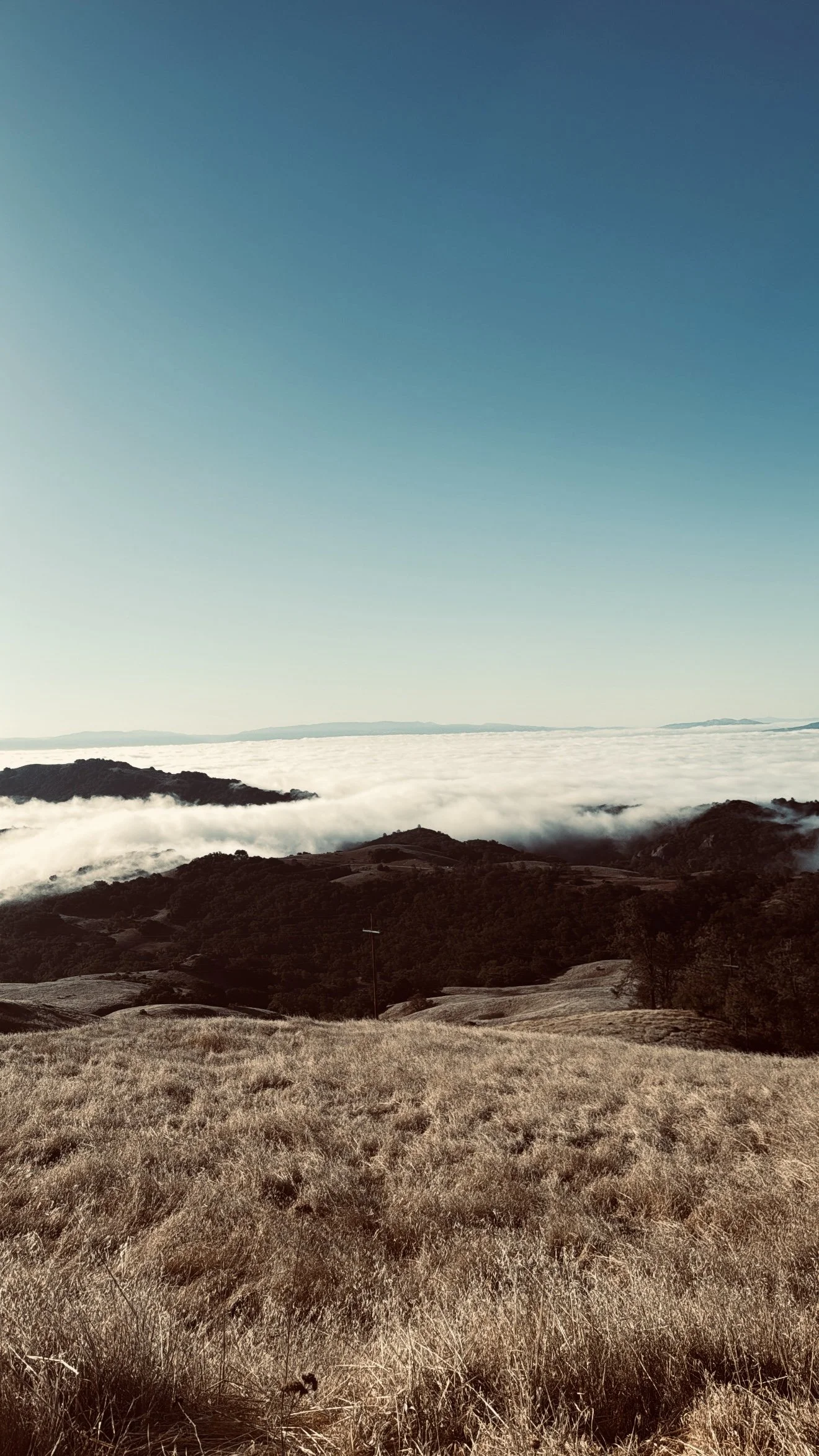 The Mountain That Grounds Me 