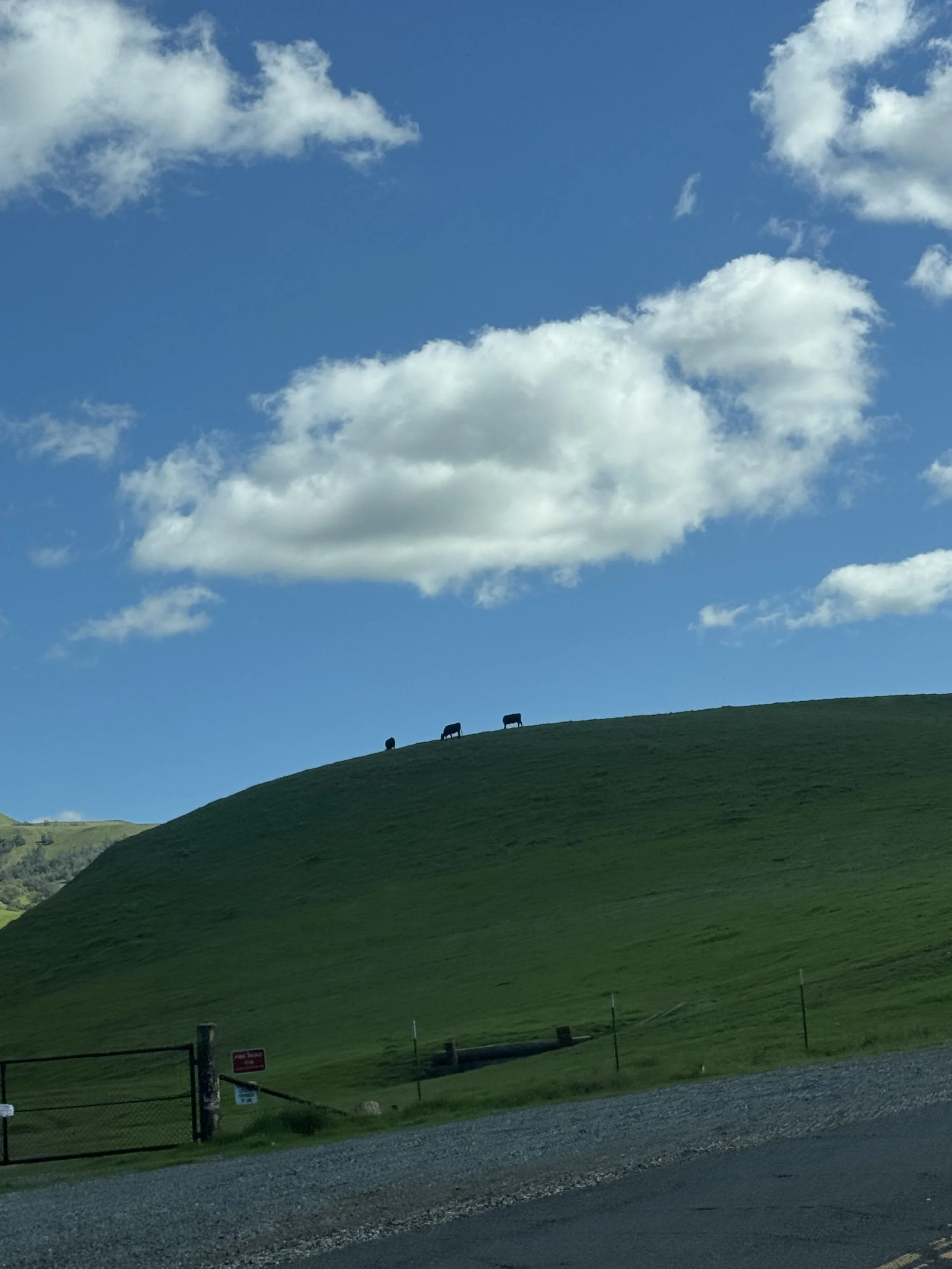 Not Bread Jesus — Just the Bread Lady