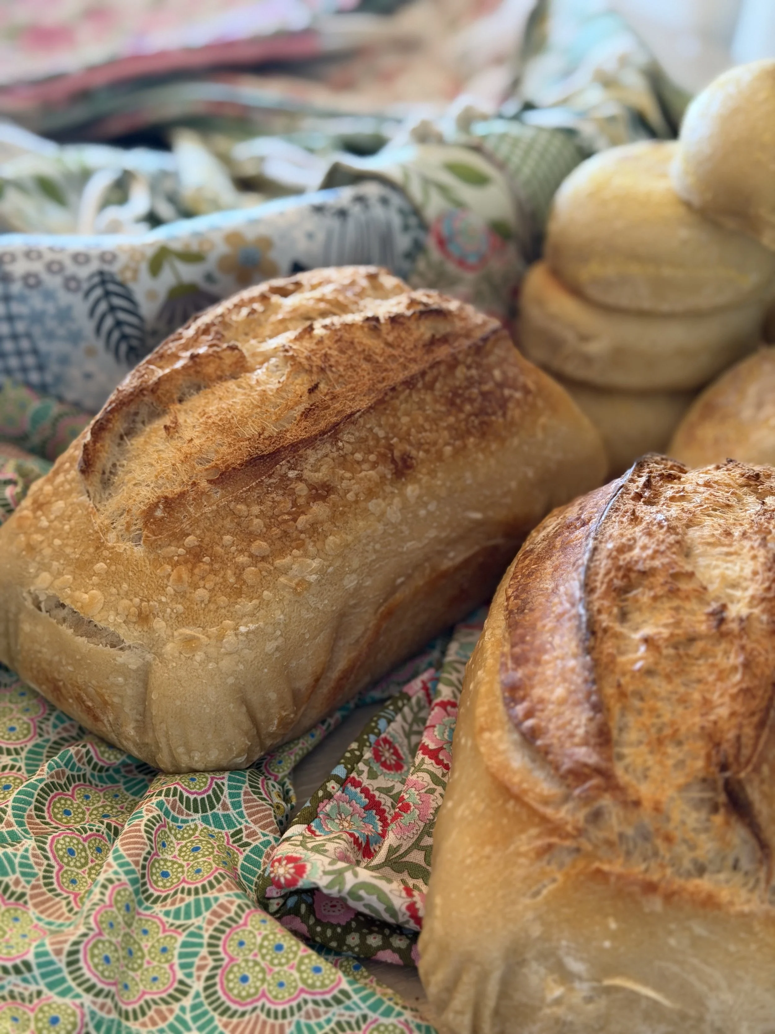 A Season of Preparation