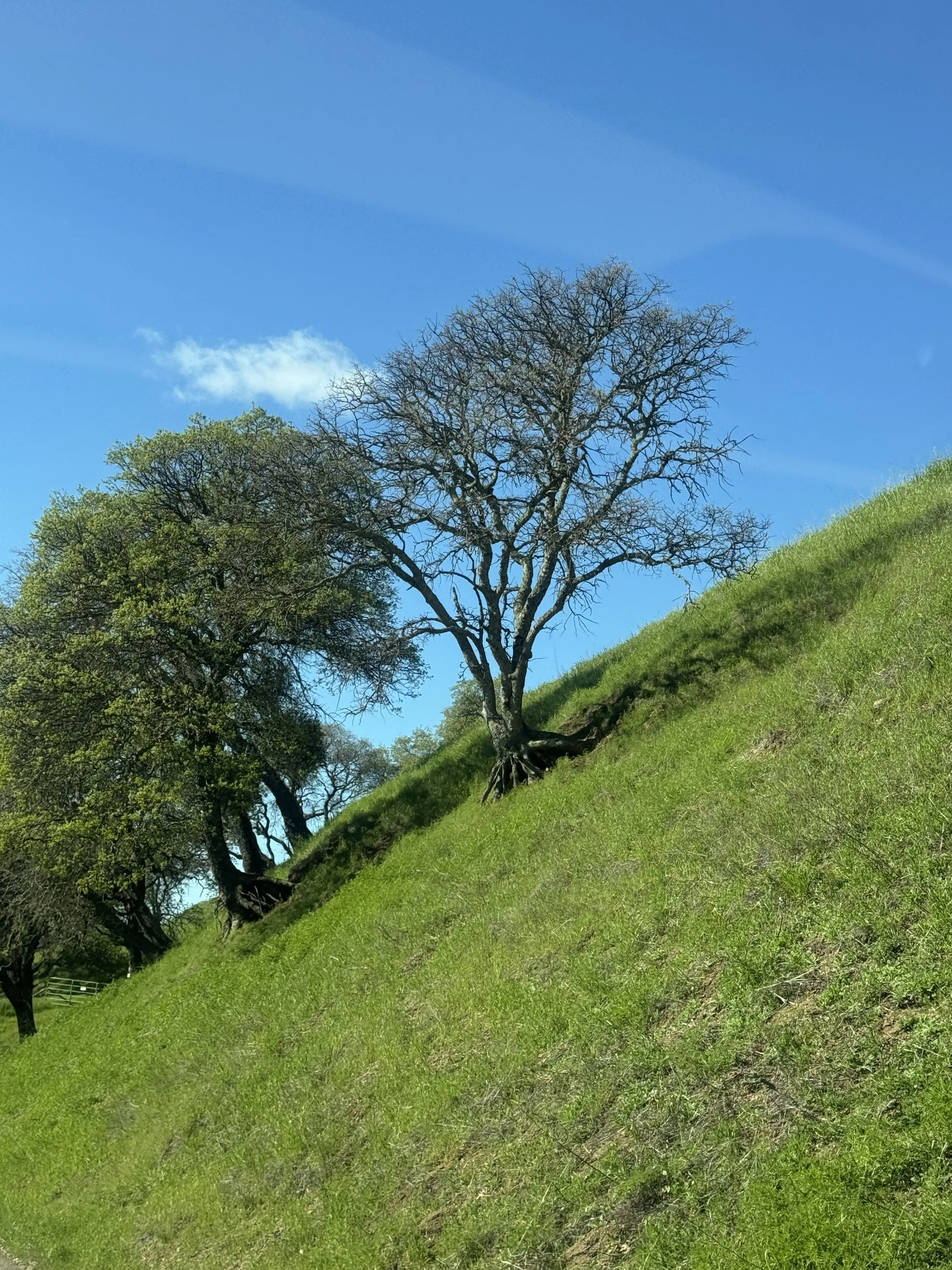 Not a Journey, Not an Era