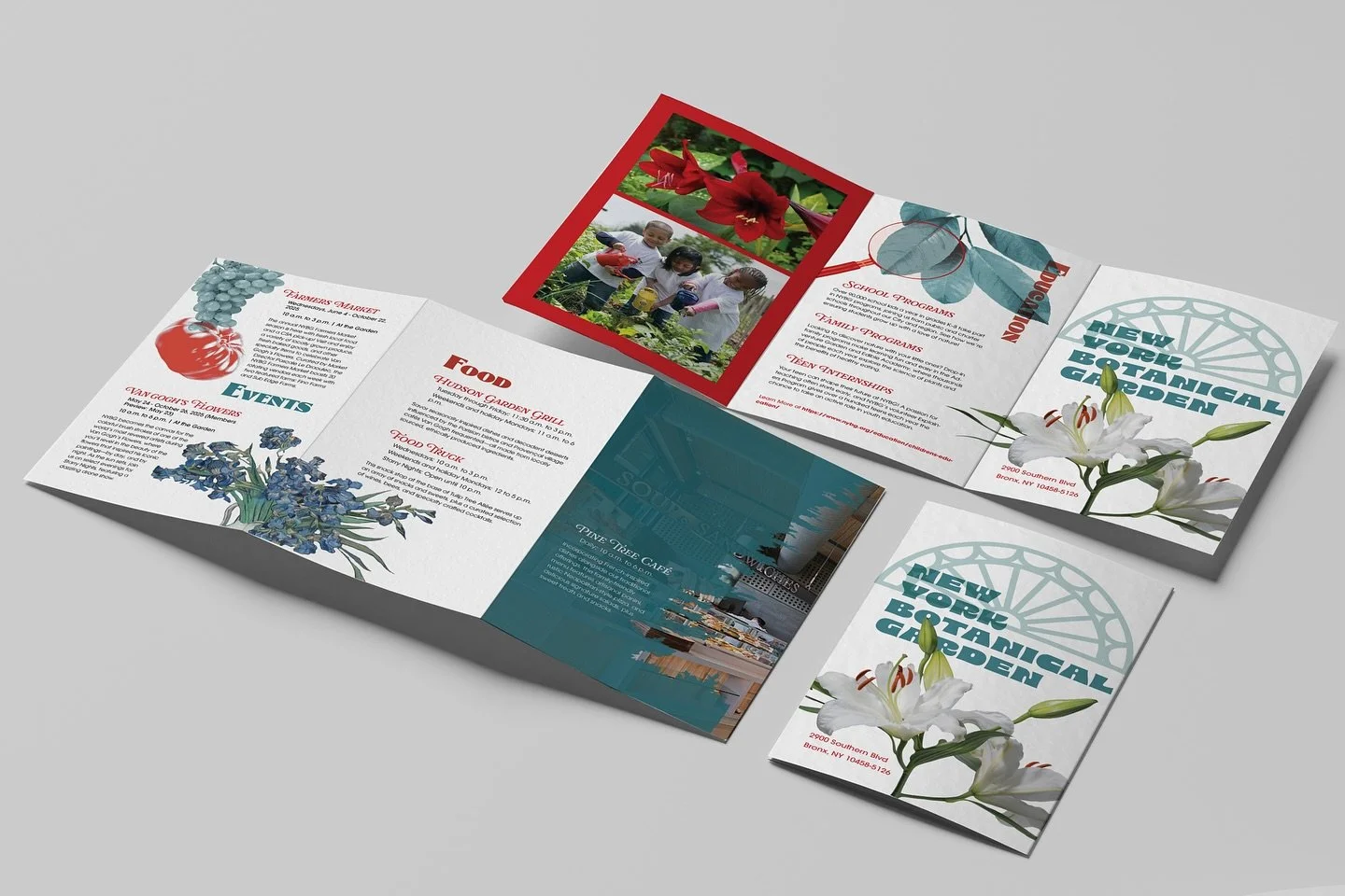NYBG Brochure Prompt 🌎🌱🌻
Adobe Photoshop Indesign
