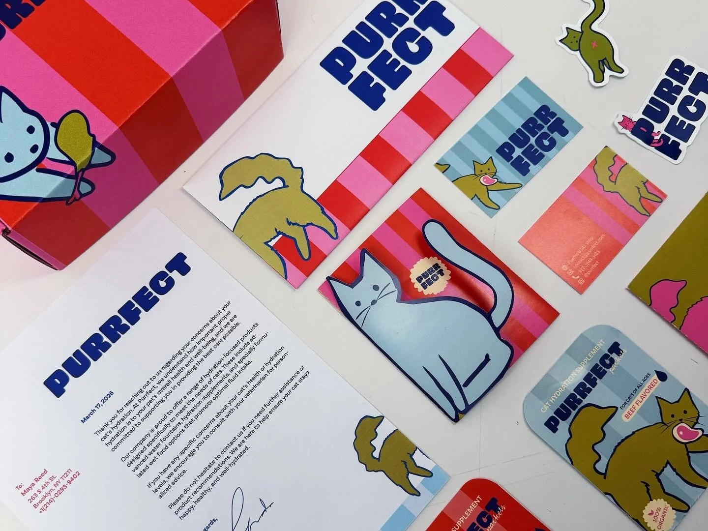 Purrfect Project 2026 

<Cat hydration branding solution >