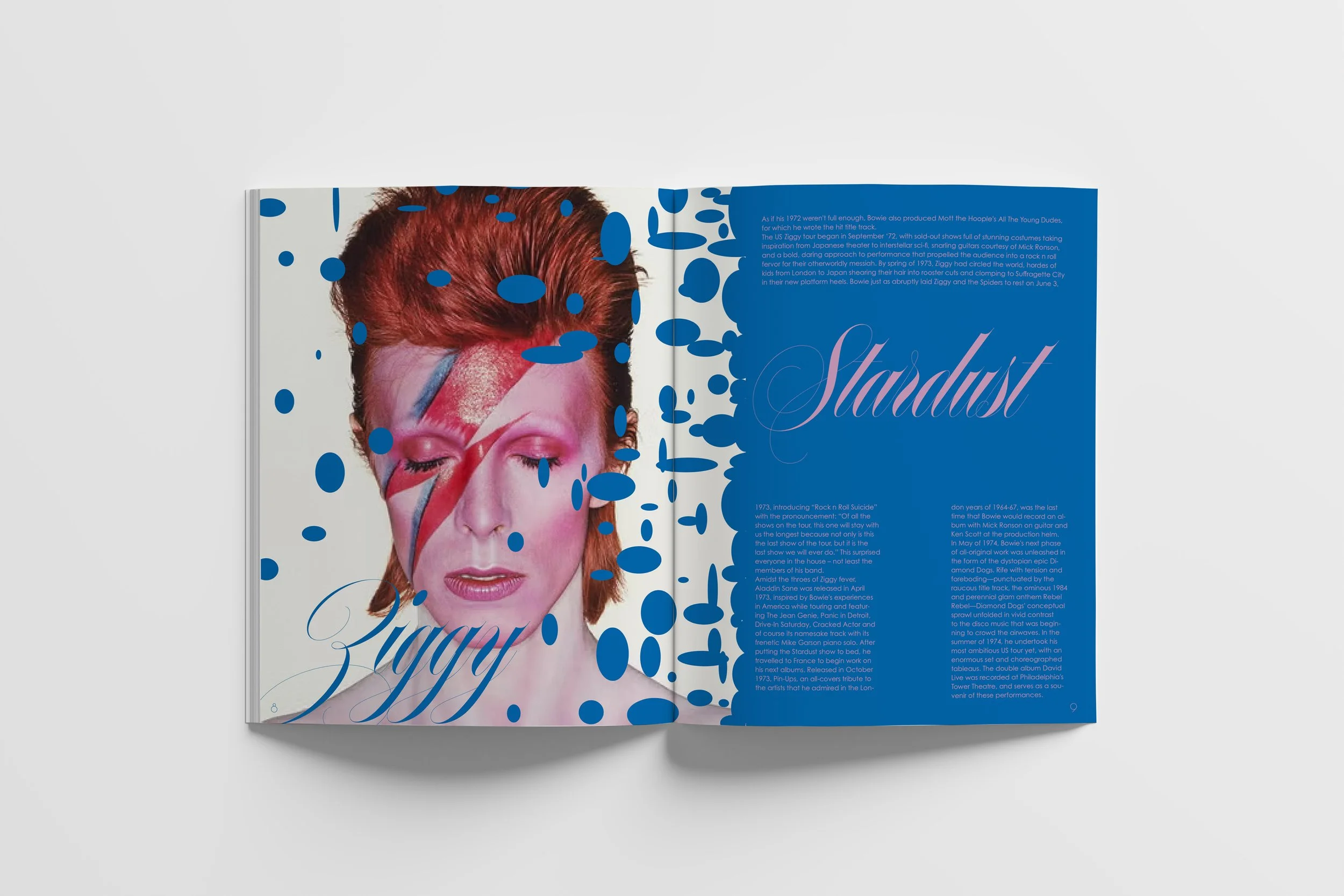 Hey There Mr.Bowie 2025