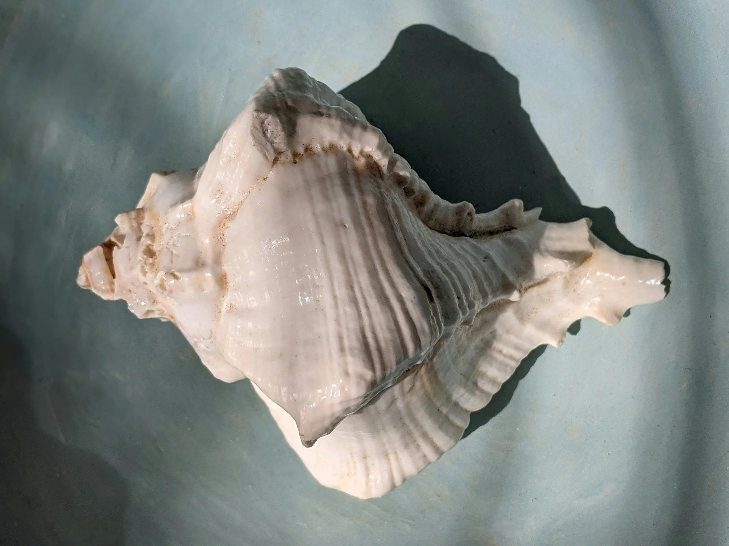 How Emotional Maturity Transforms Relationships (Without Losing Your Spark)