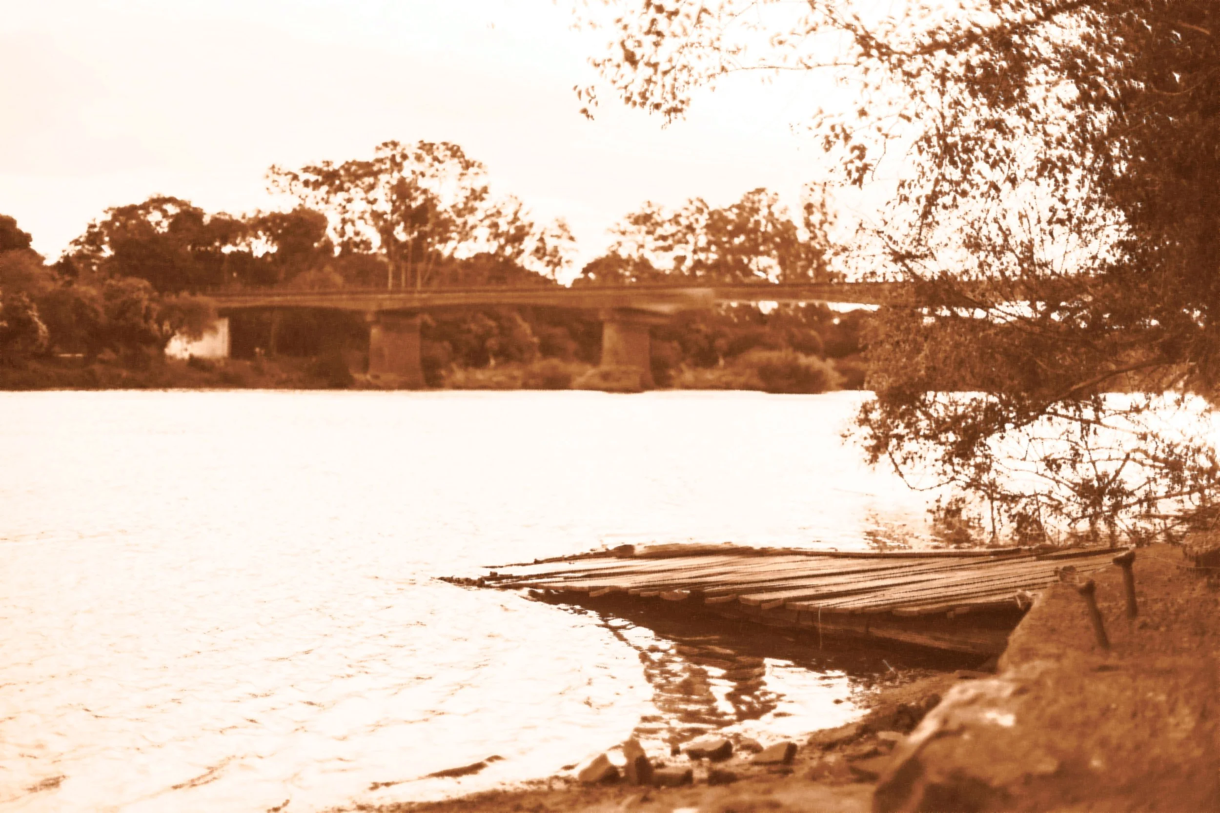 site2.jpg