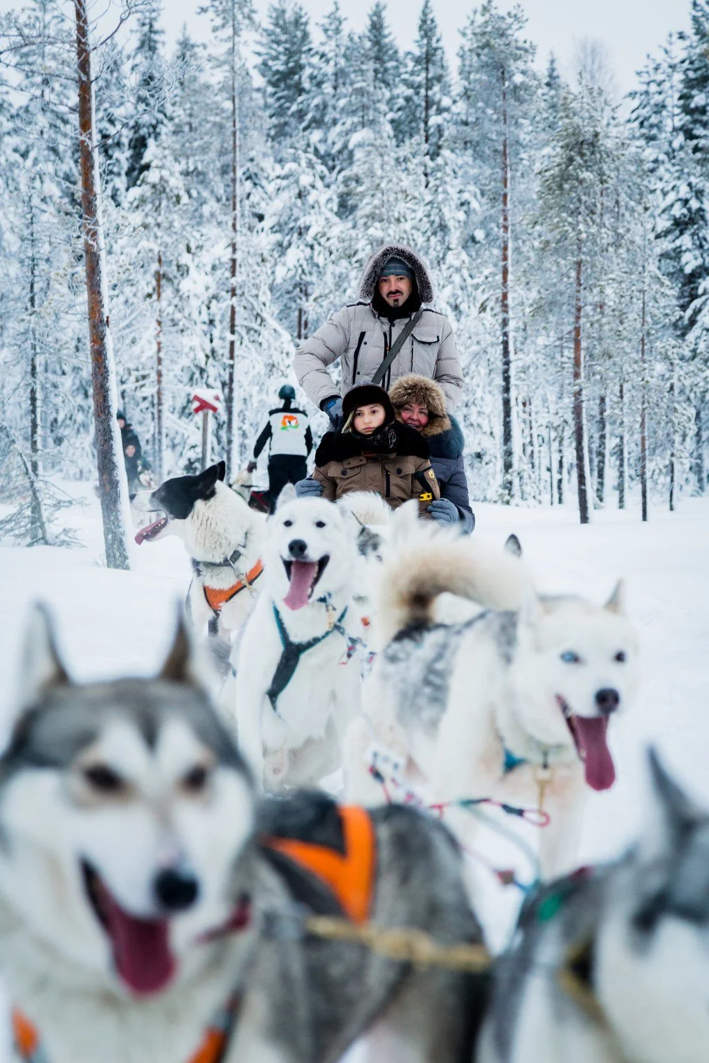 Family of three on a dog sled ride in a snowy forest, with several husky dogs pulling the sled, dressed warmly in winter coats and hats.