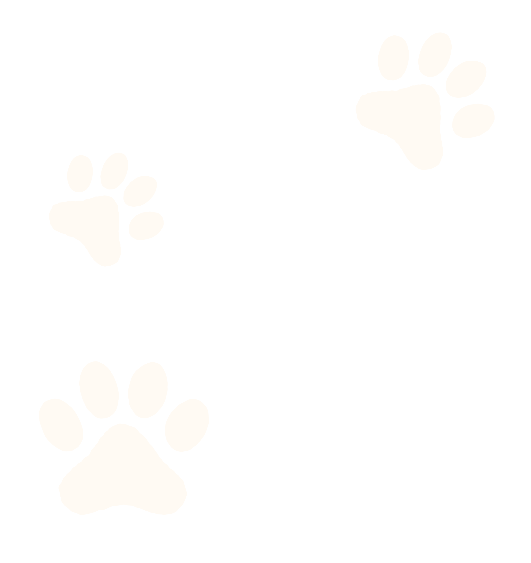 Black background with three white paw prints, one large and two smaller ones.
