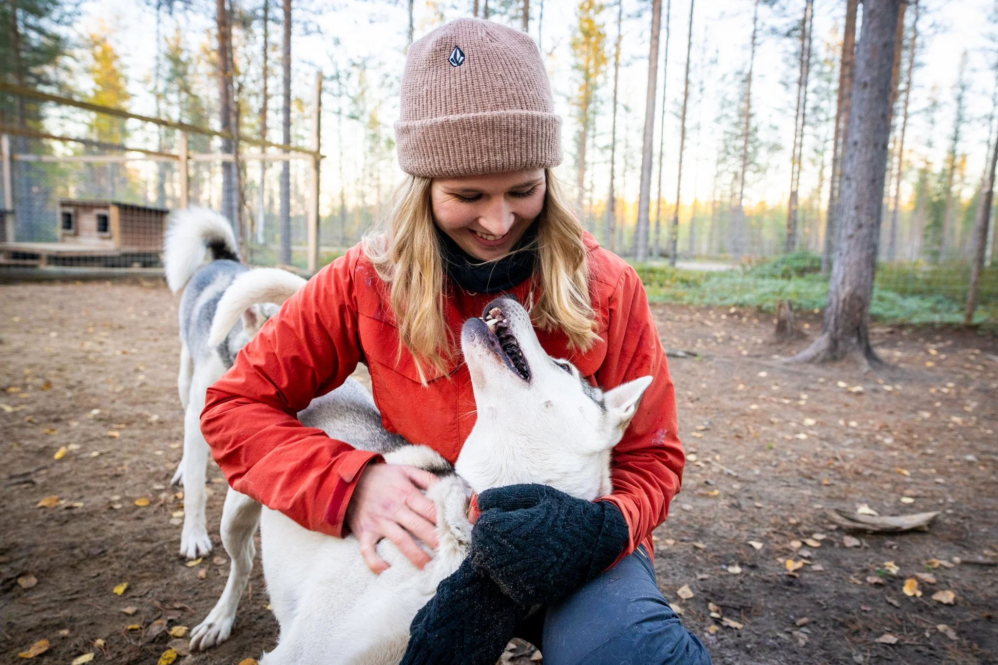 A woman with a pink beanie, red jacket, and black gloves is smiling and playing with a white and gray Siberian Husky puppy outdoors in a wooded area during autumn. The puppy is lying on its back, looking up at the woman.