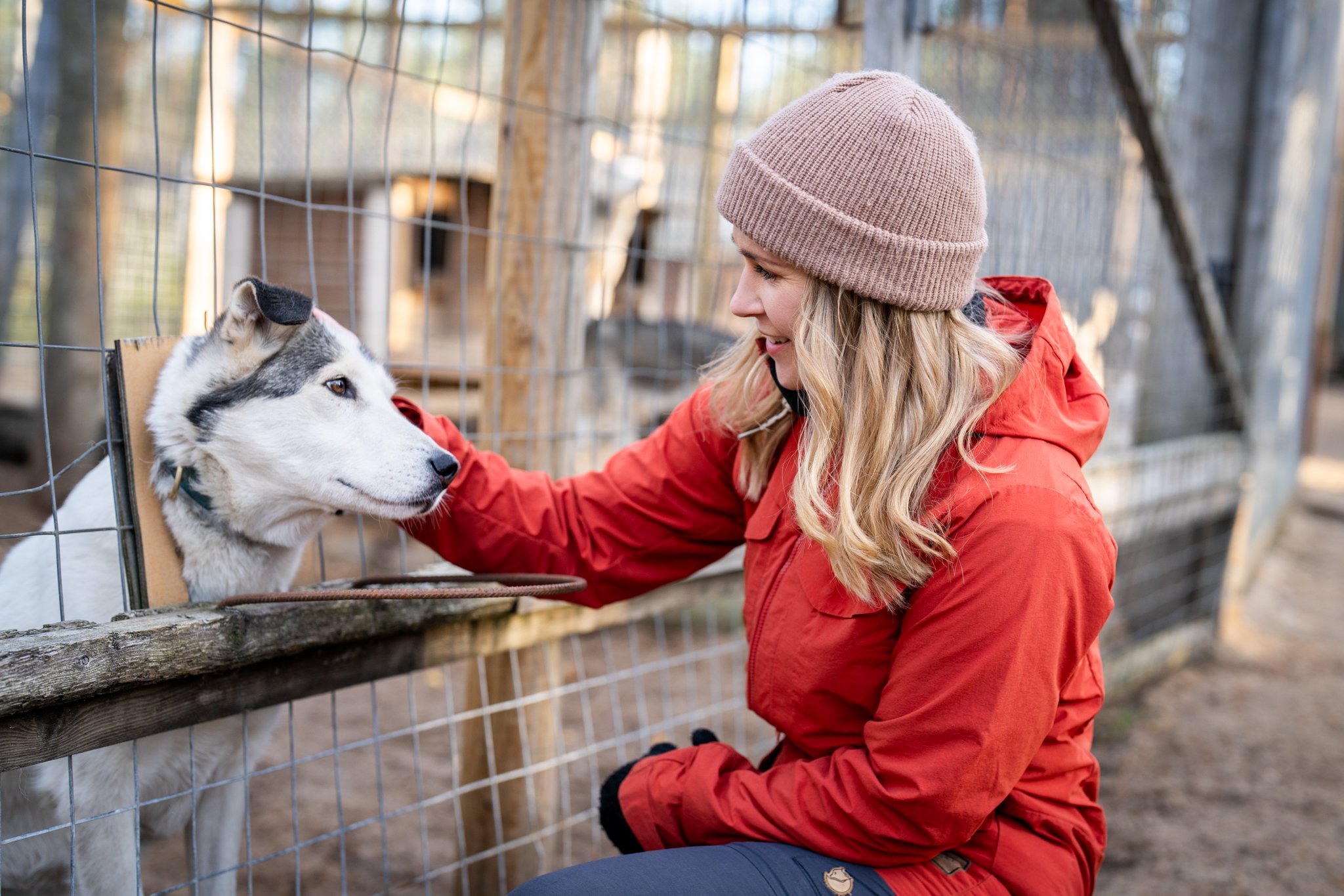 A woman in a red jacket and tan knit hat petting a husky dog inside a fenced outdoor area.