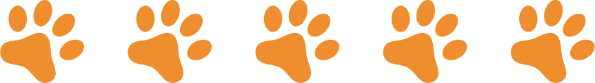 Five orange paw prints on a black background.