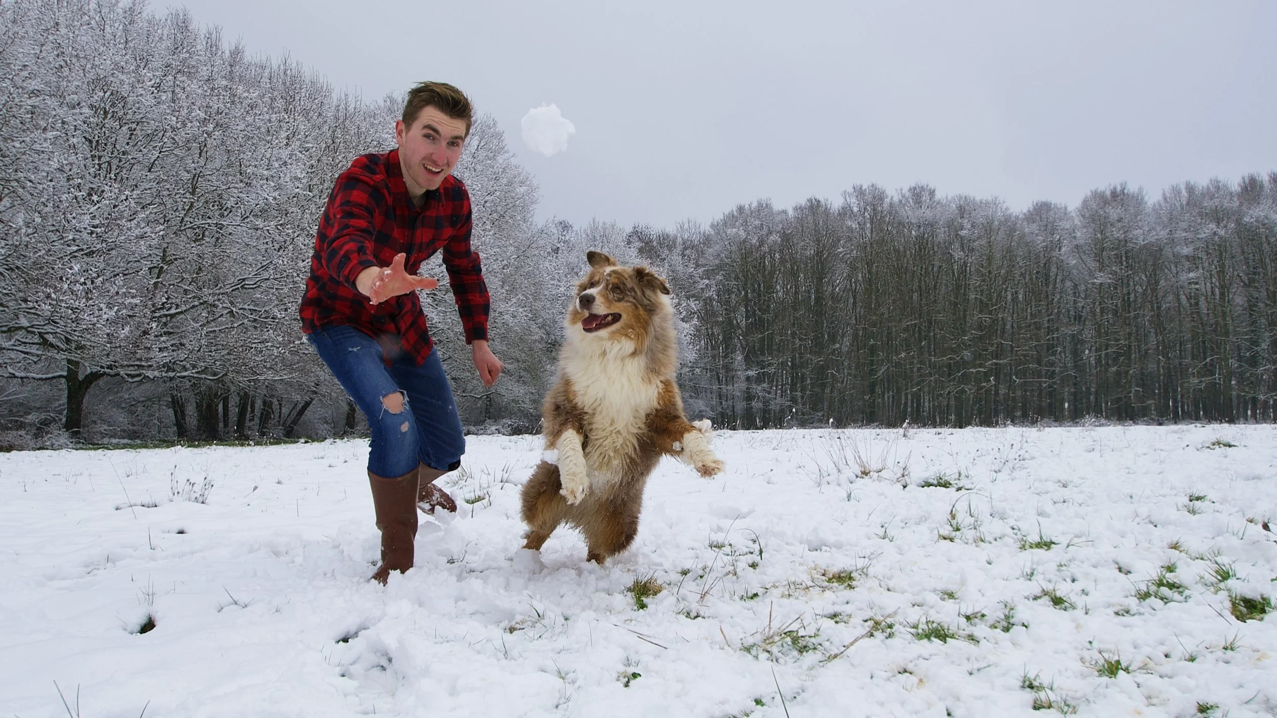 Gibbs et moi vif blanc.jpg