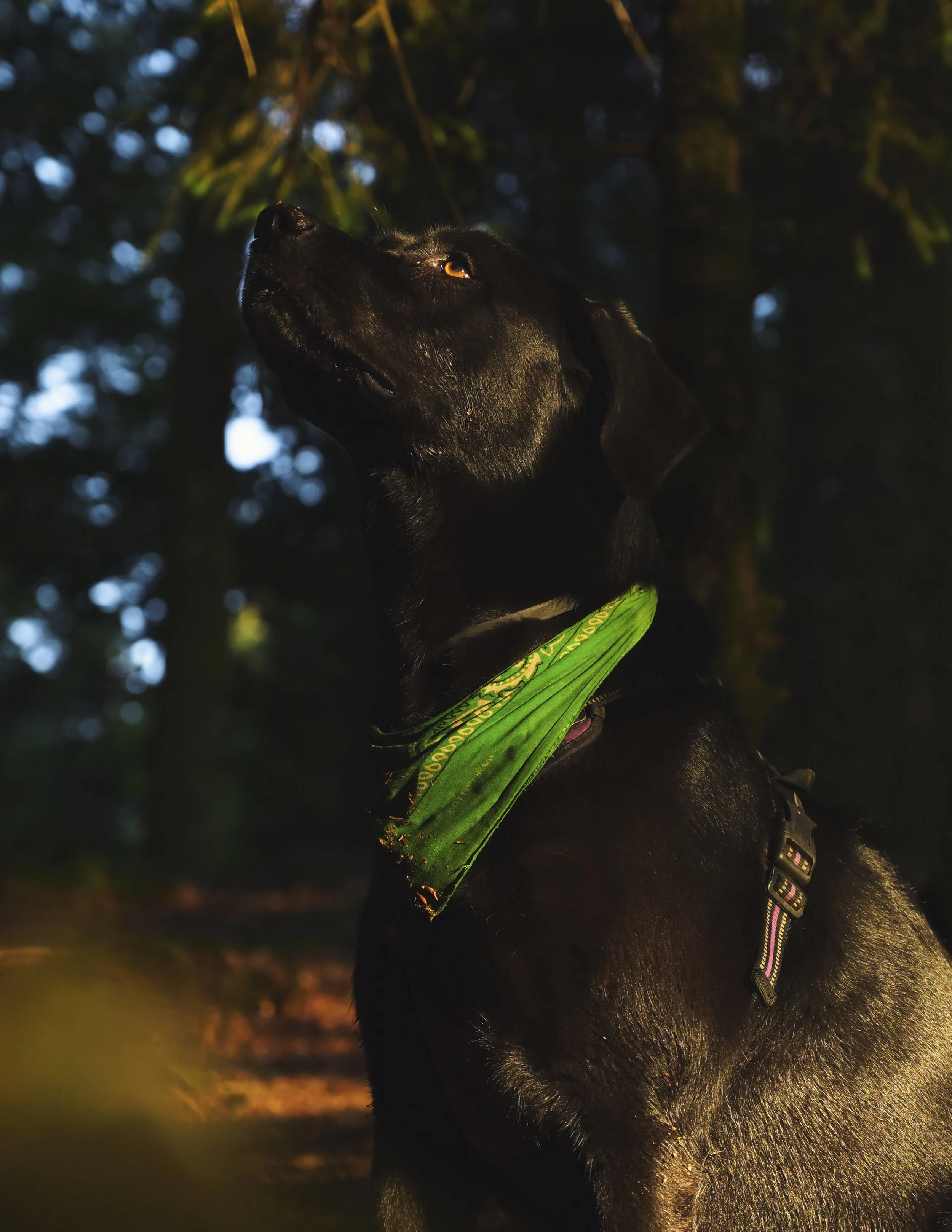 DSC_1341 1.jpeg