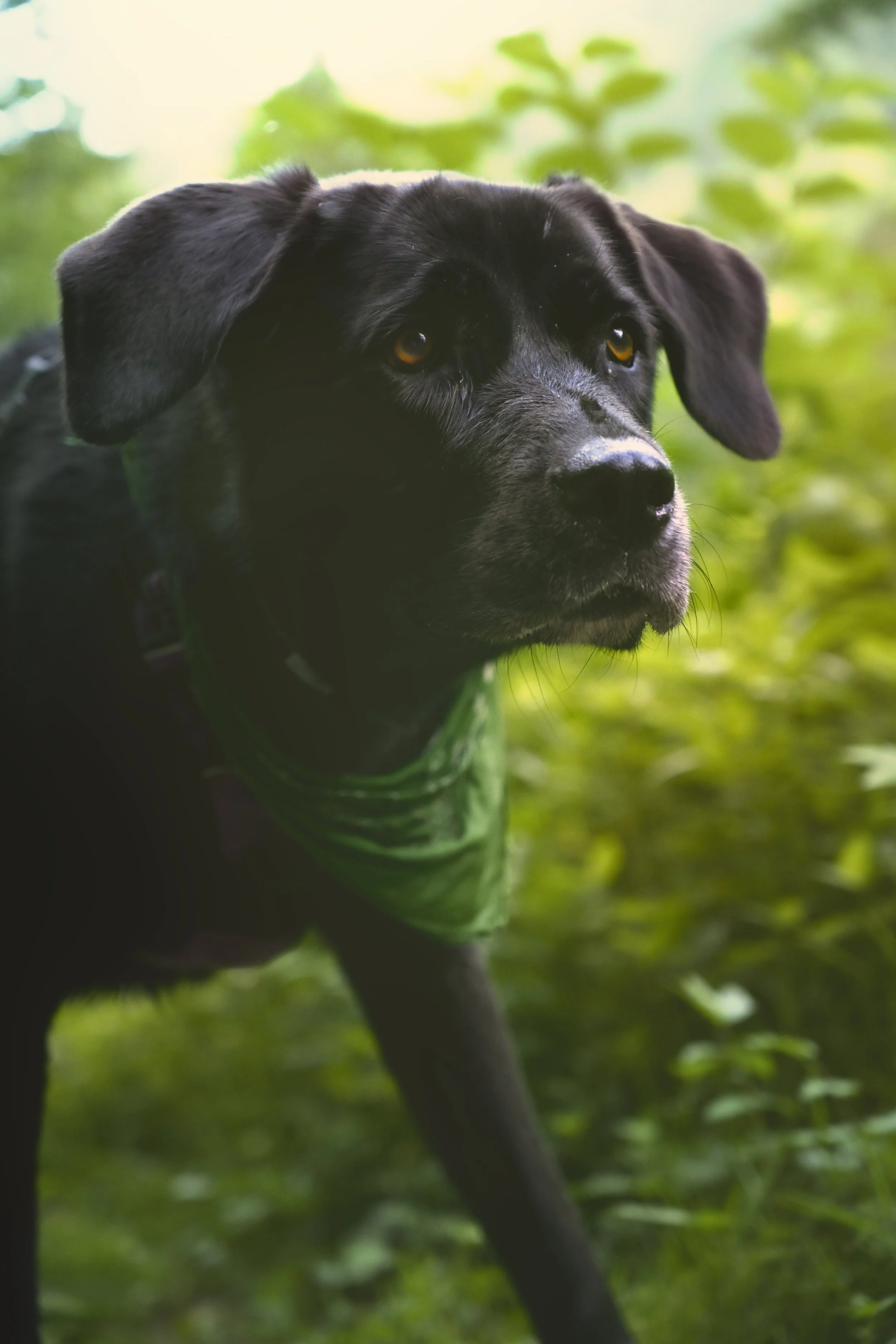 DSC_1221.jpeg