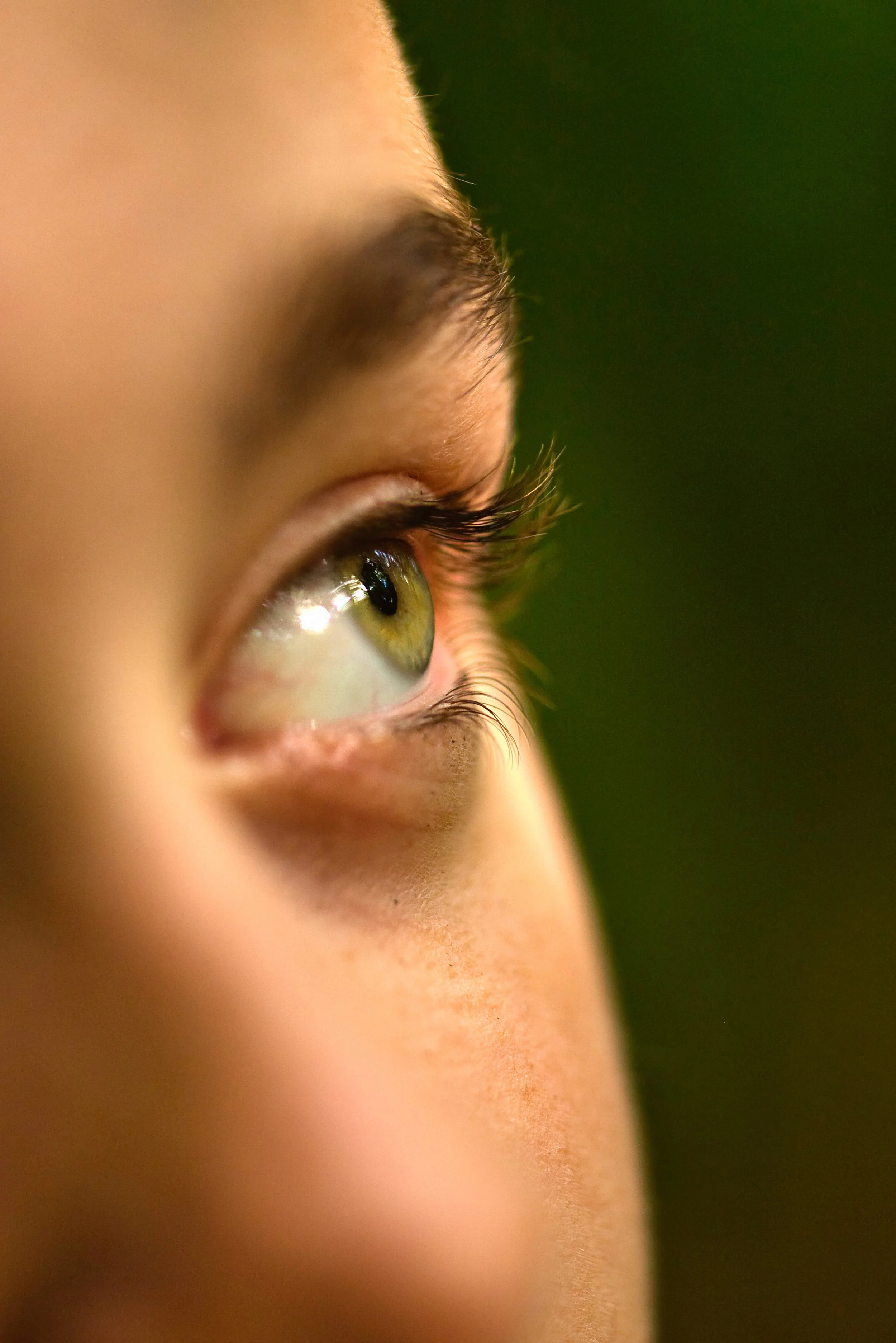 photo d'un oeil en lumière naturel forêt