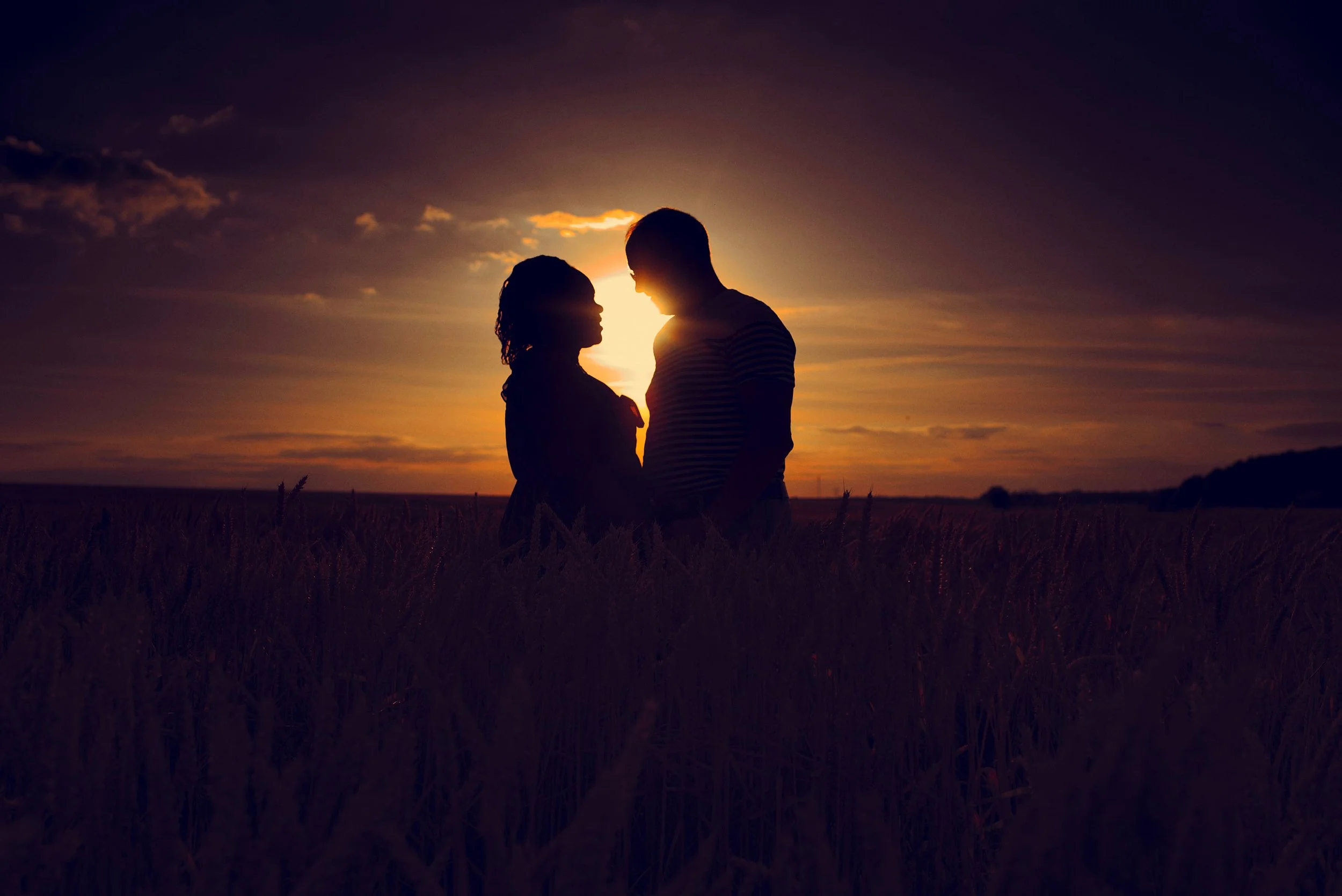 portrait d'un couple dans un champ de blé au coucher du soleil à contre jour