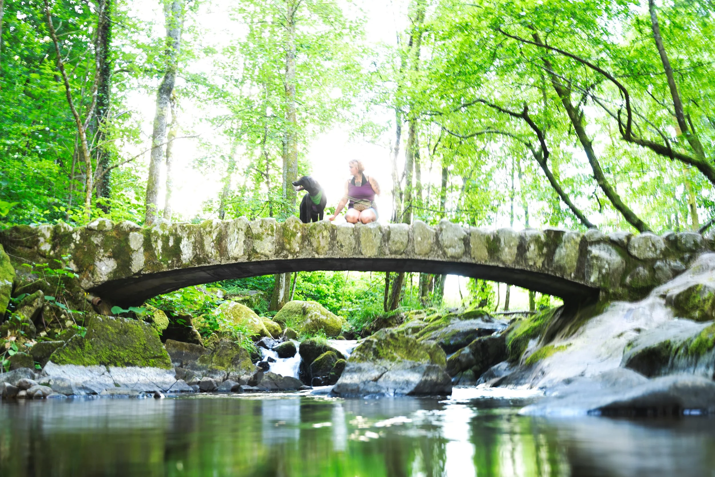 Une femme et un chien assis sur un petit pont en pierre au-dessus d'une rivière dans une forêt verte dense,avec des arbres feuillus et de la végétation luxuriant. La scène est lumineuse, avec une lumière du soleil filtrant à travers les arbres.