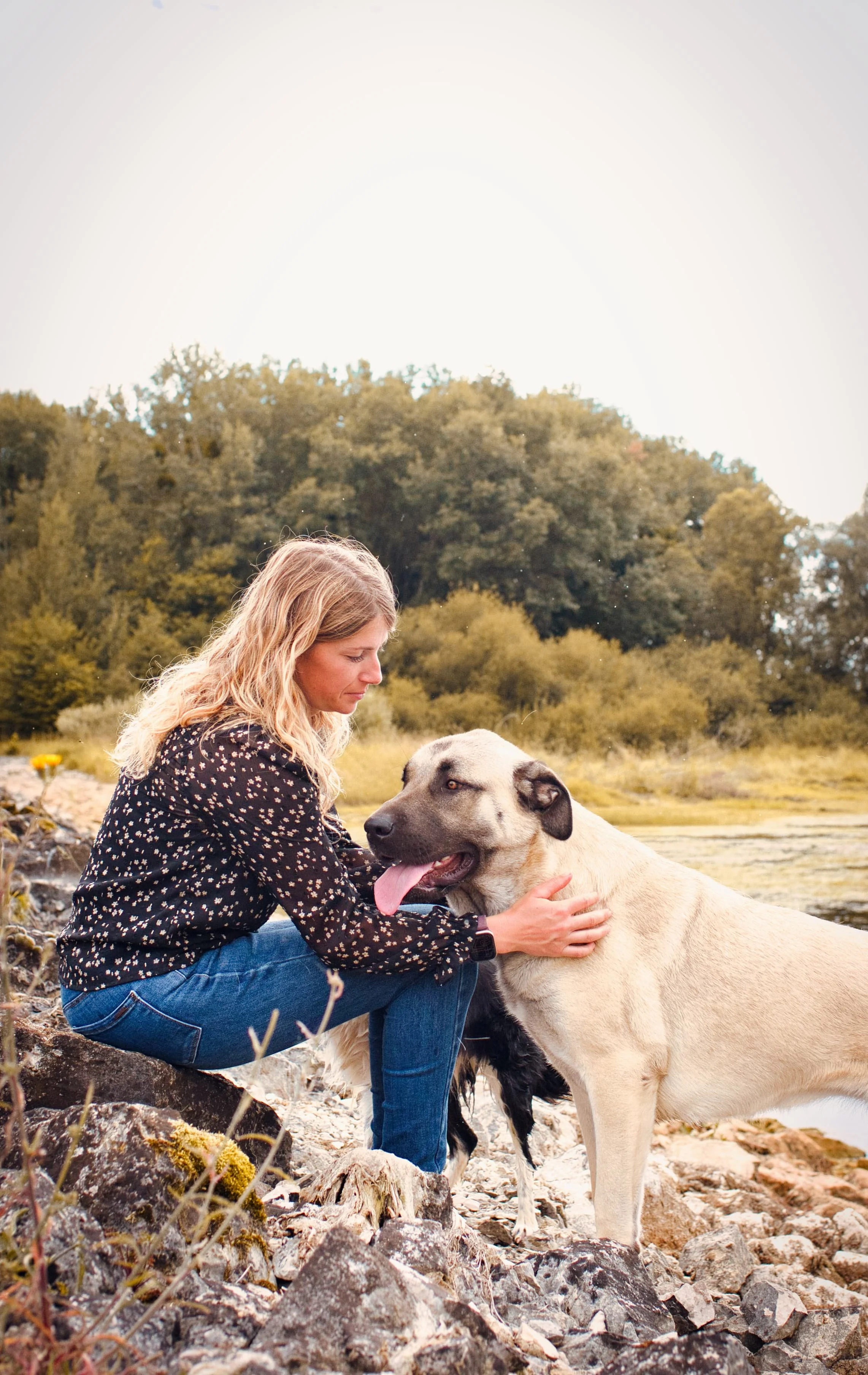 femme blonde avec son chien kangal dans la nature sur des pierres au bord de l'eau