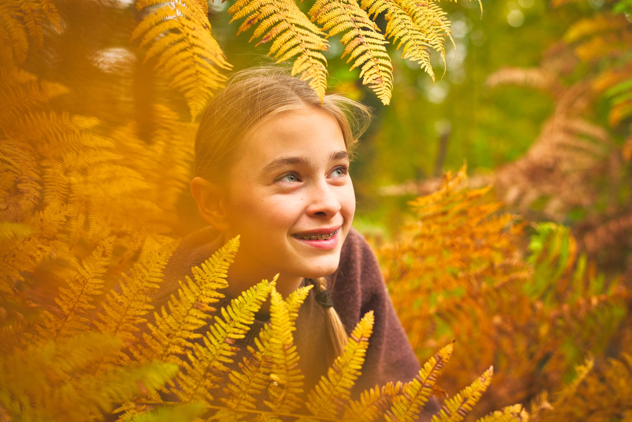 Portrait photo d'automne en forêt dans les fougères 