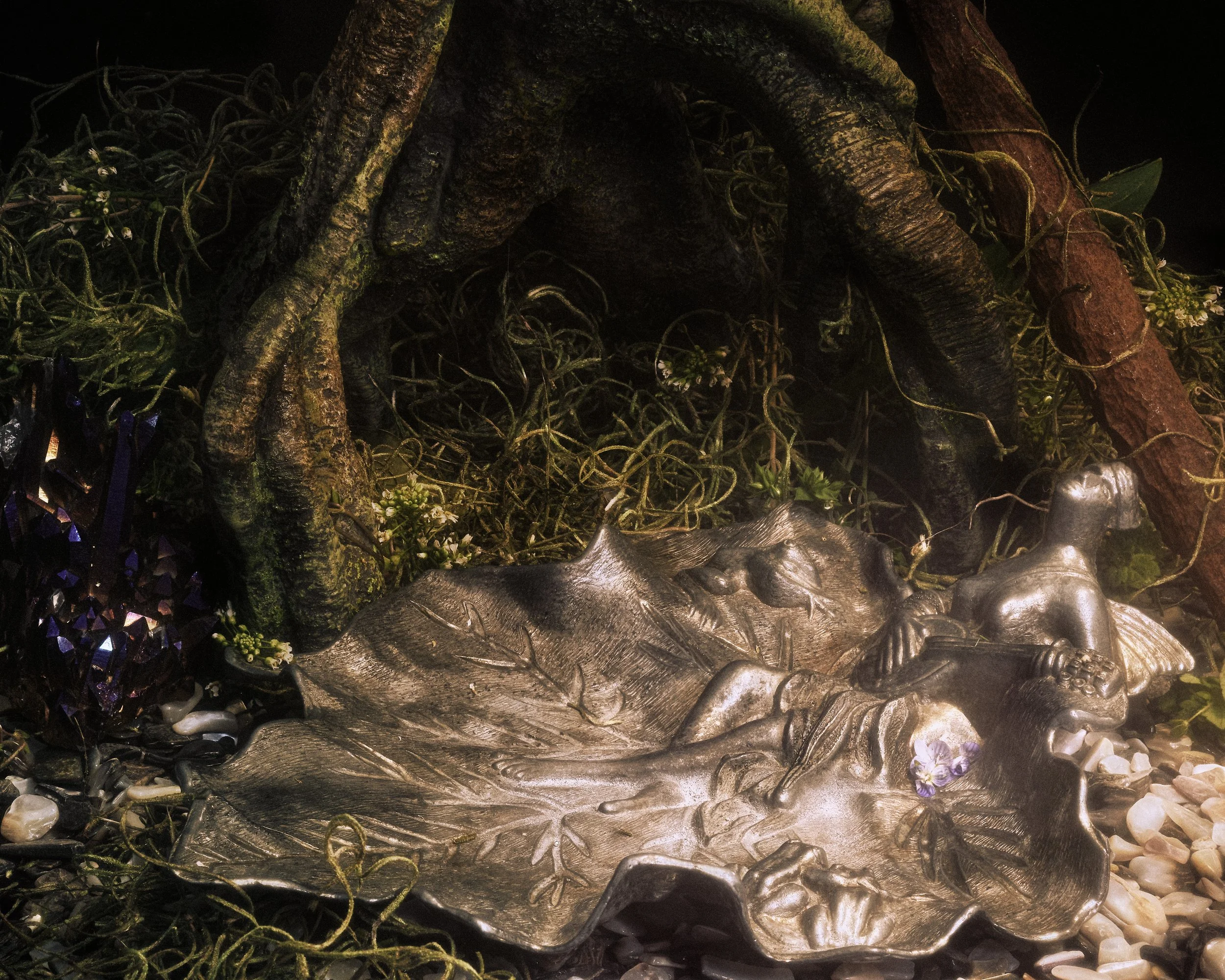swamp2realfinal.jpg