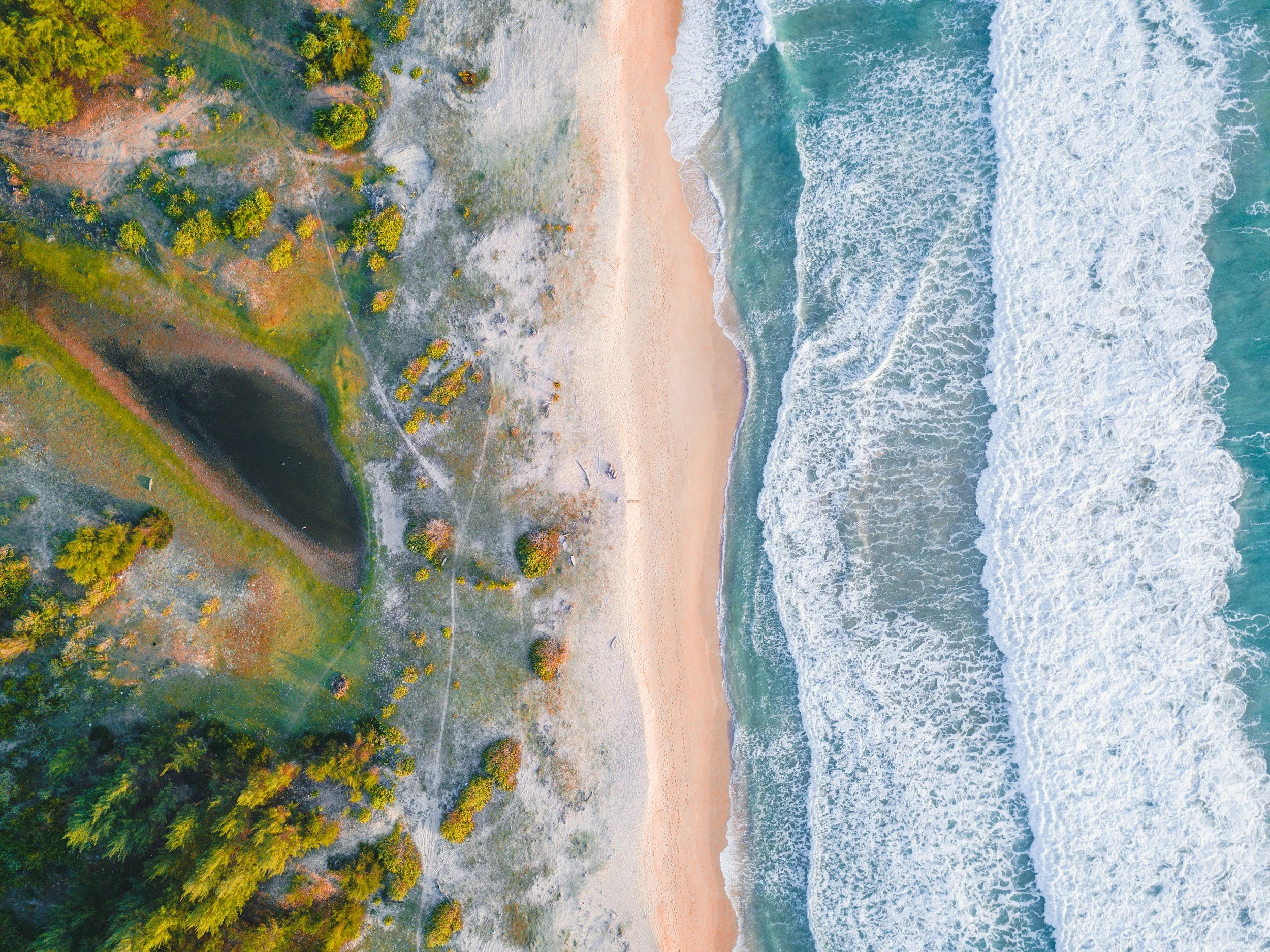 Why Rest isn’t Always Enough: Stress, the Nervous System + Yoga Nidra