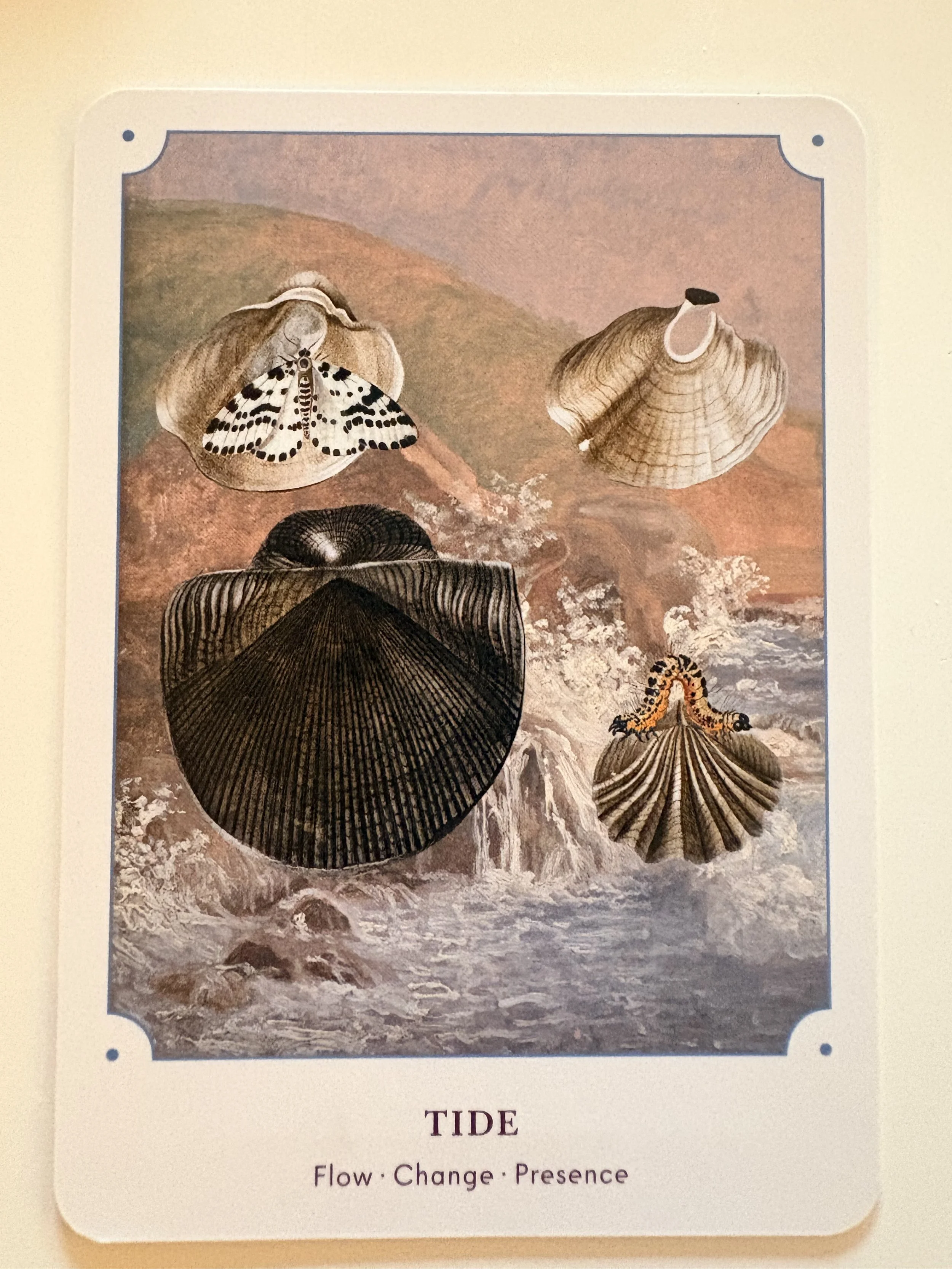 The Quiet Moon - Early Circle Price