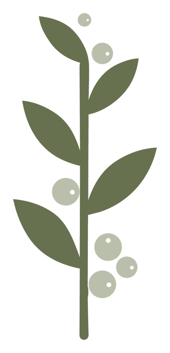 jh-icon.png