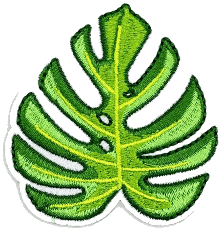 1_7f305a3e-49b8-446e-ae13-599488f75a02.png