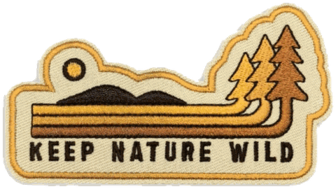 1_788a1c5f-40a5-466c-a34c-5239235ea96e.png