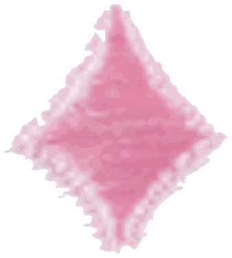 1_9e223709-d3b0-424c-a3ab-7f5d411bffab.png