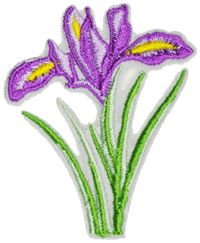 1_17db67f8-22d3-4c8e-900e-3c6ff7d052a4.png
