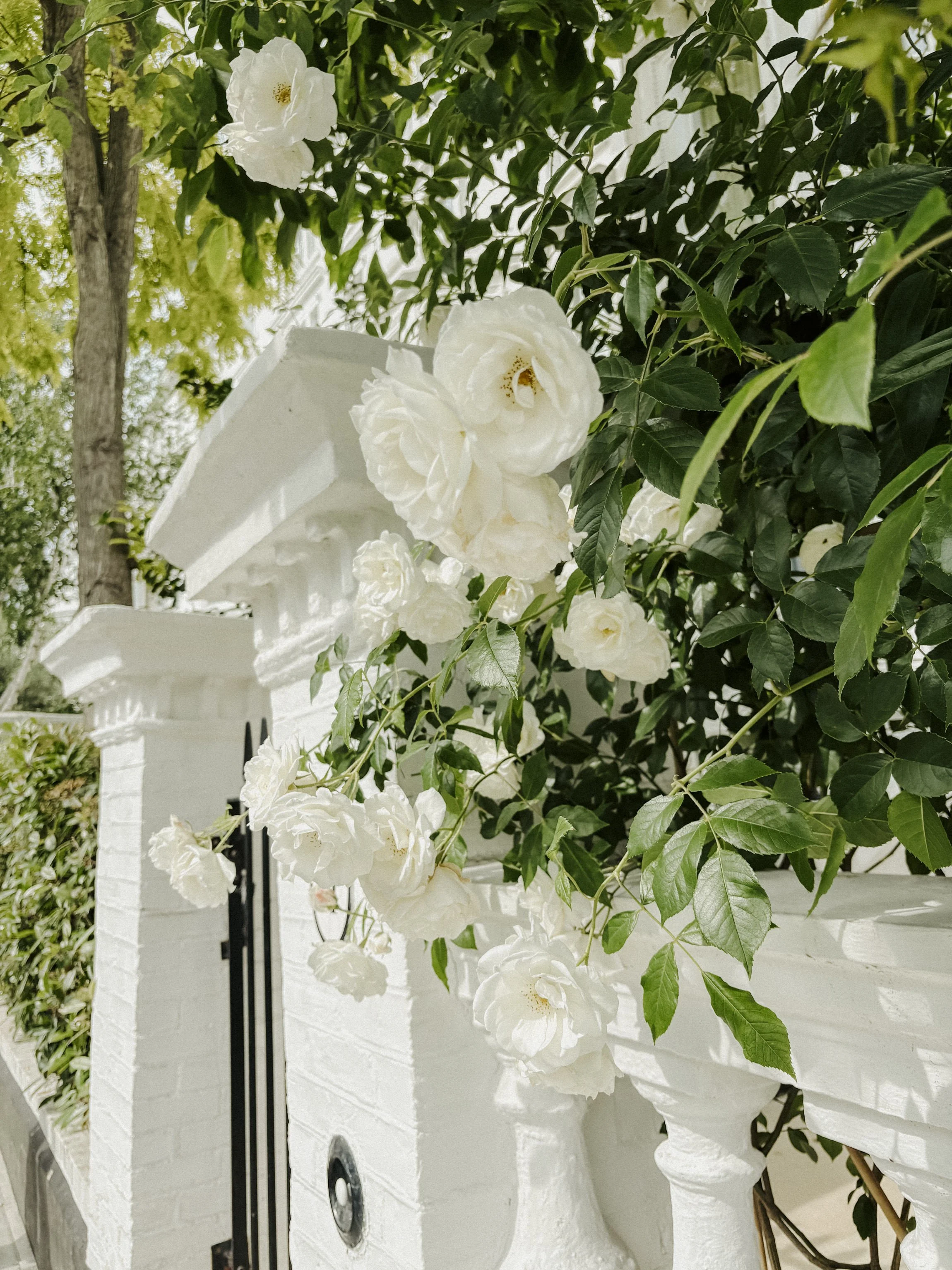 Elevae_0326_140634-3.jpg