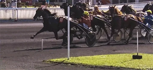 Race 10: $300,000 Oak Grove Trotting Oaks Final — 3YO Fillies