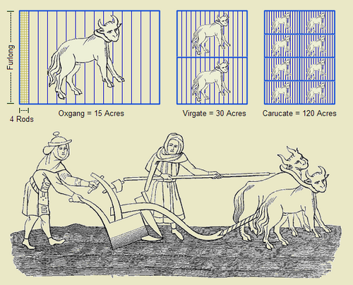 A furlong started off as an agricultural measurement.