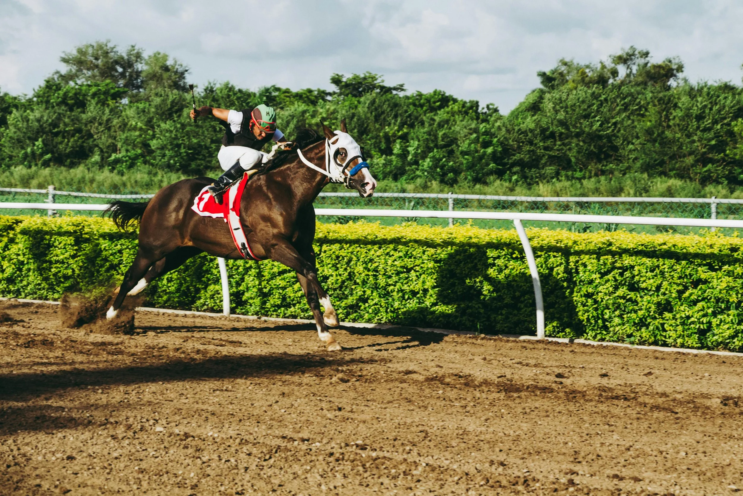 A Beginner's Guide to Betting on Horse Racing in the US