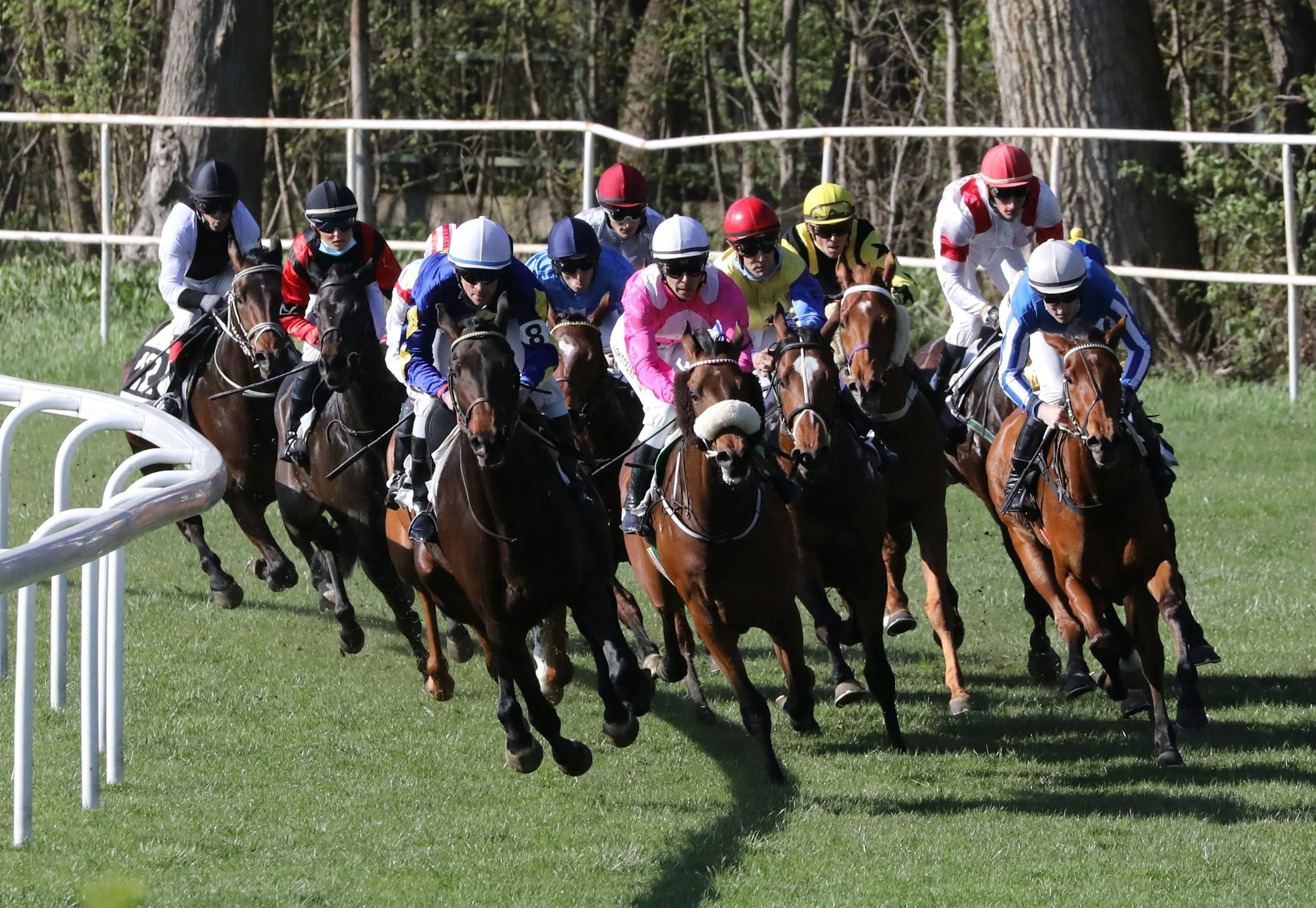 Horse Racing Betting Strategy: Winning With More Than Luck