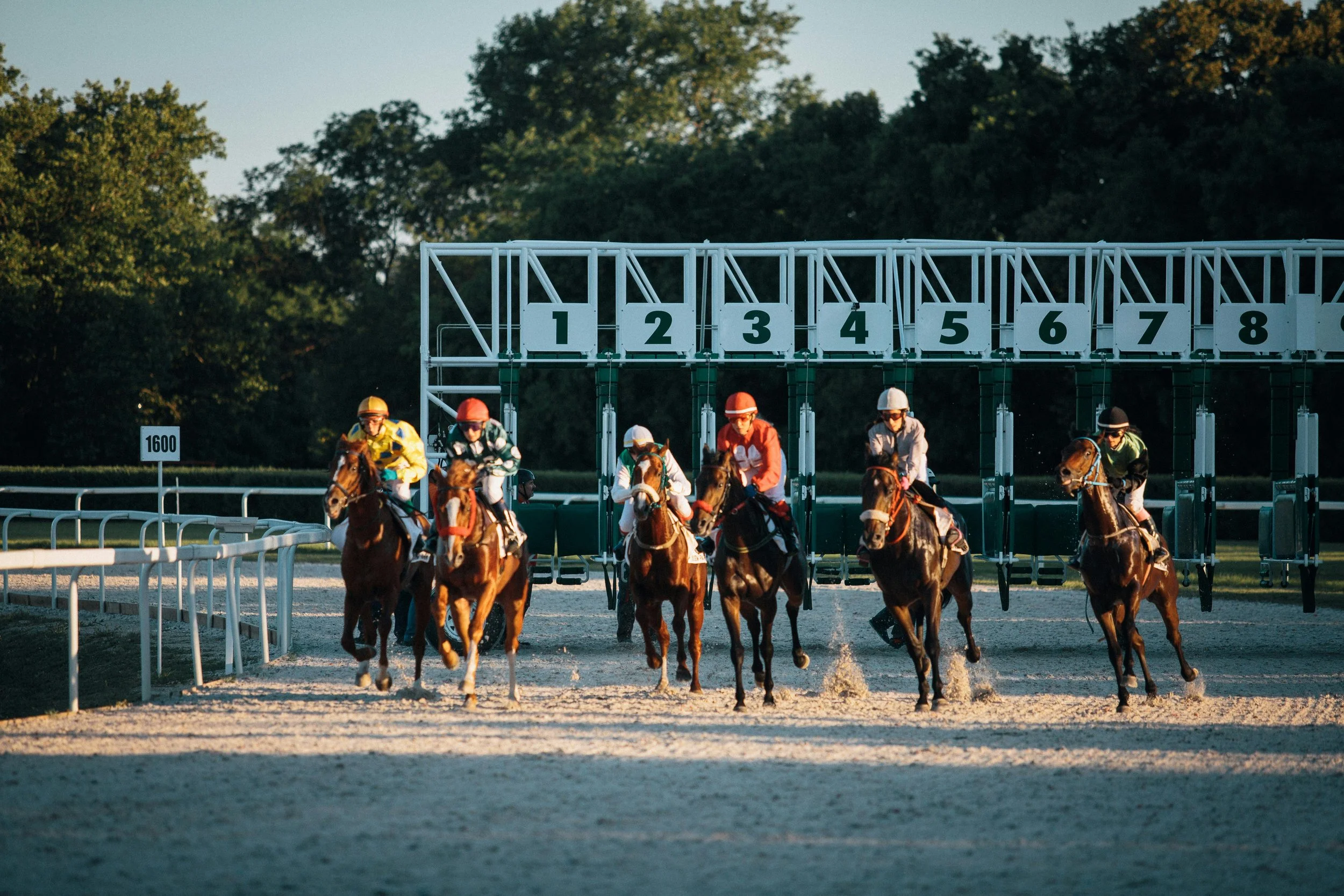 Building a Bankroll for Horse Racing: Smart Habits That Pay Off
