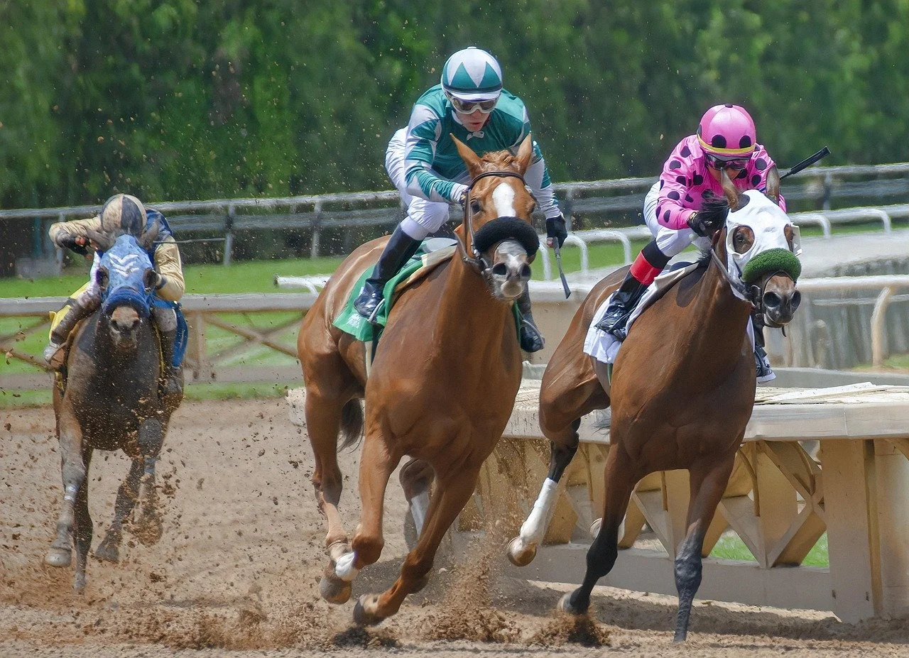 How to Manage Losses When Betting on Horses