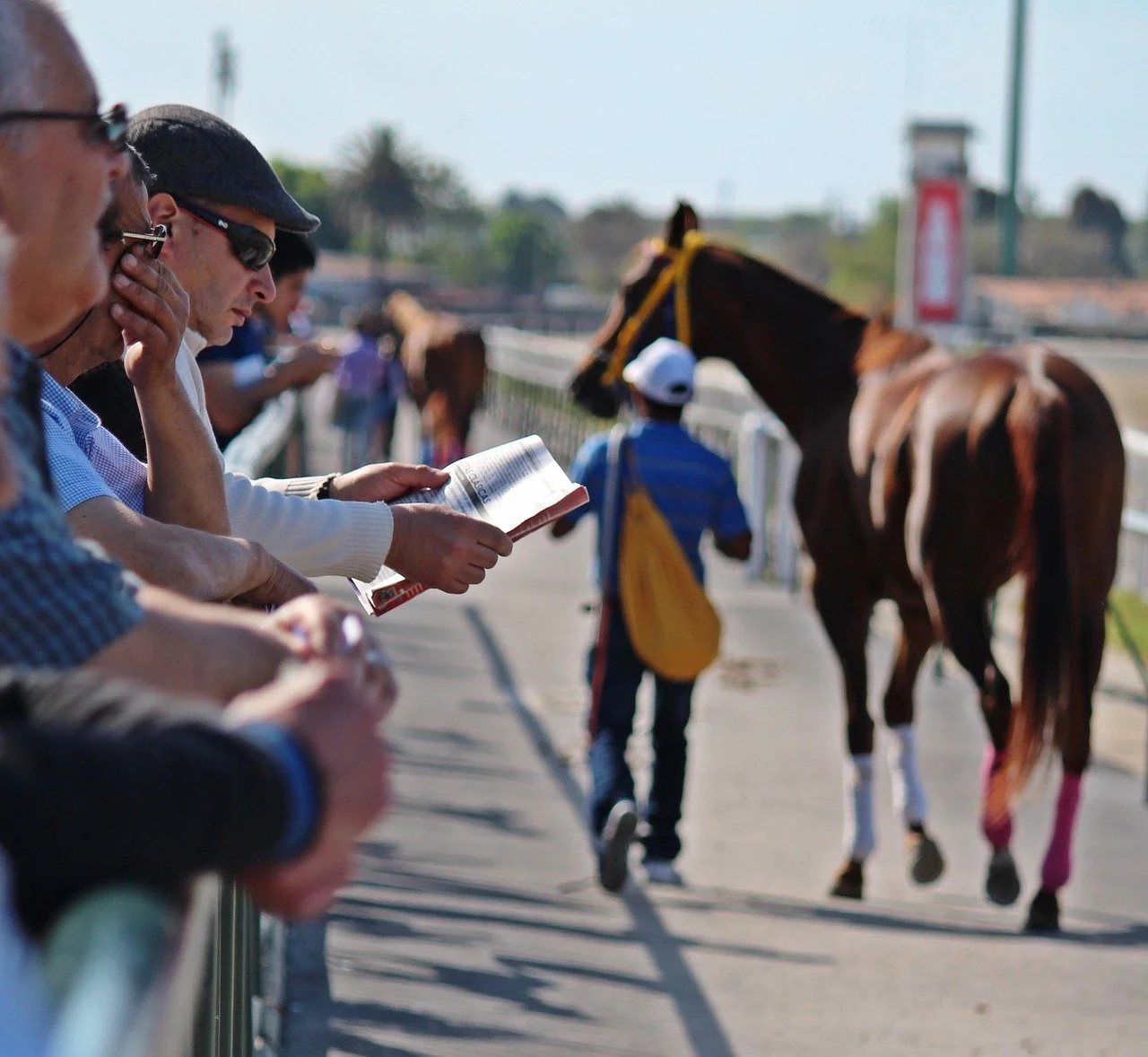 How to Follow Form and Pick Winners: A Smarter Way to Bet on Horse Racing