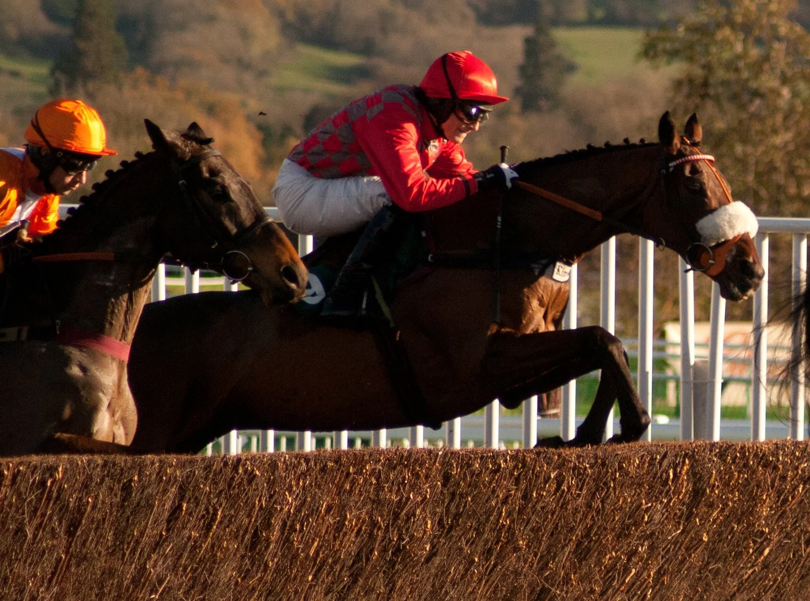 Lucky Leon’s Cheltenham Festival Tips: Day 1