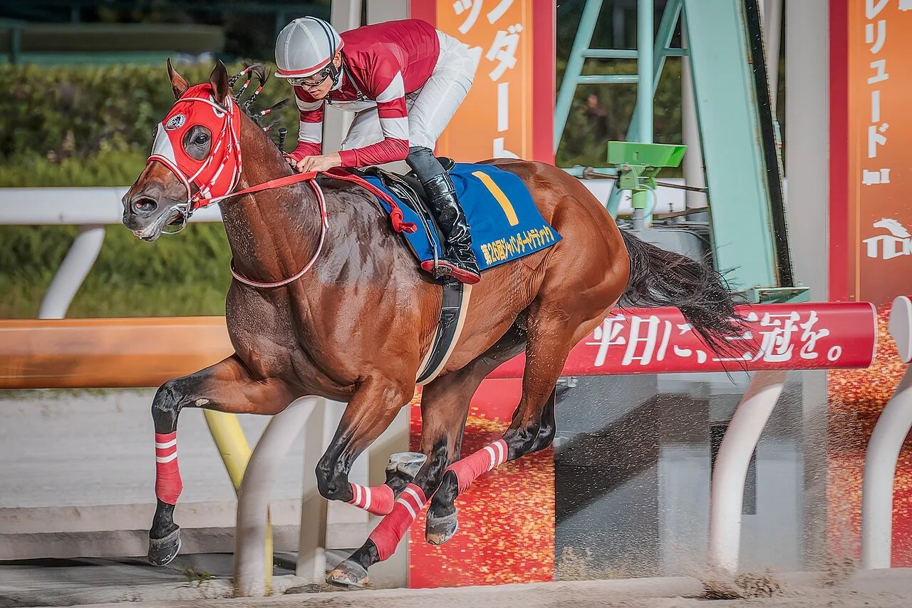 Forever Young: The World's Best Dirt Horse and How to Bet on His Next Race