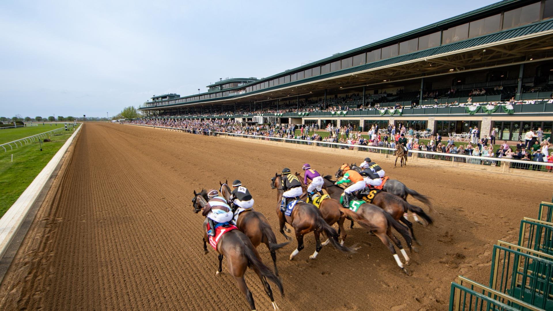 Road to the Kentucky Derby 2026: Toyota Blue Grass Stakes (G1)