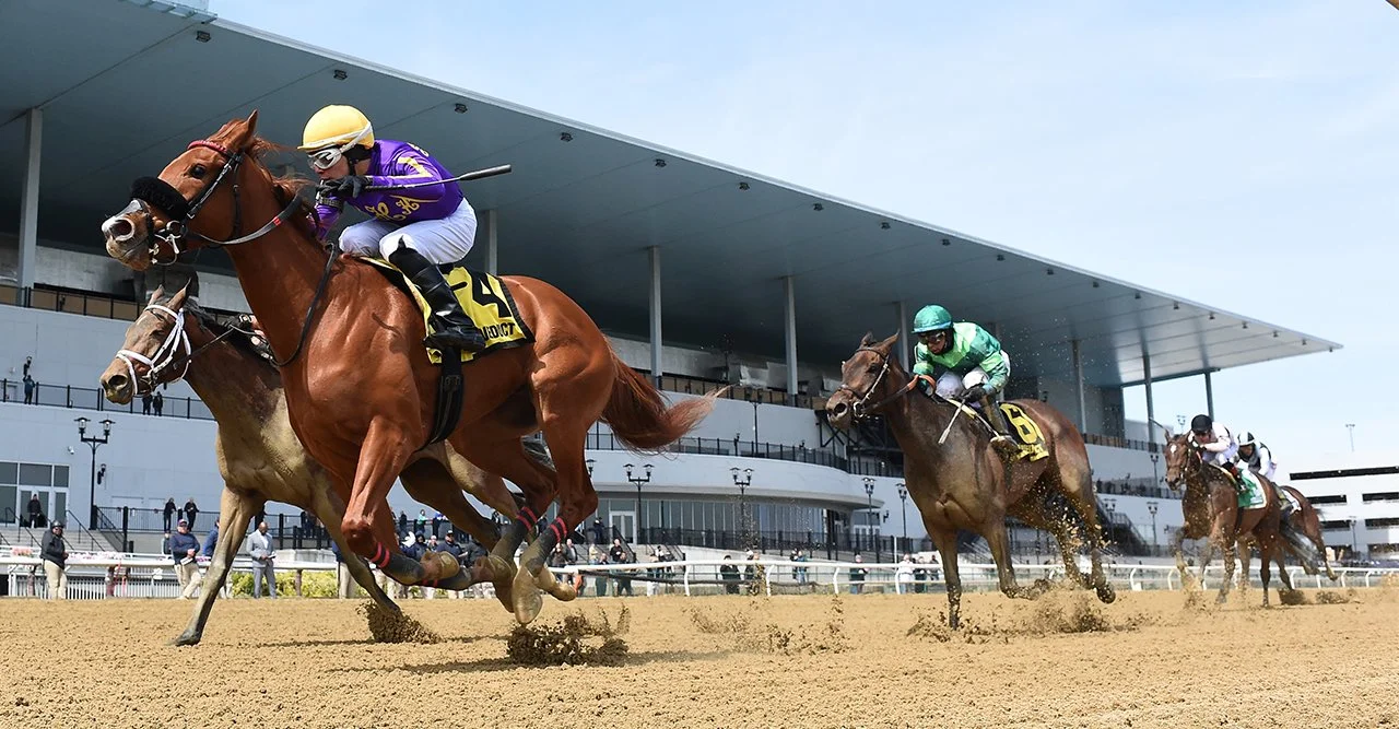 Road to the Kentucky Derby 2026: Wood Memorial Stakes (G2)