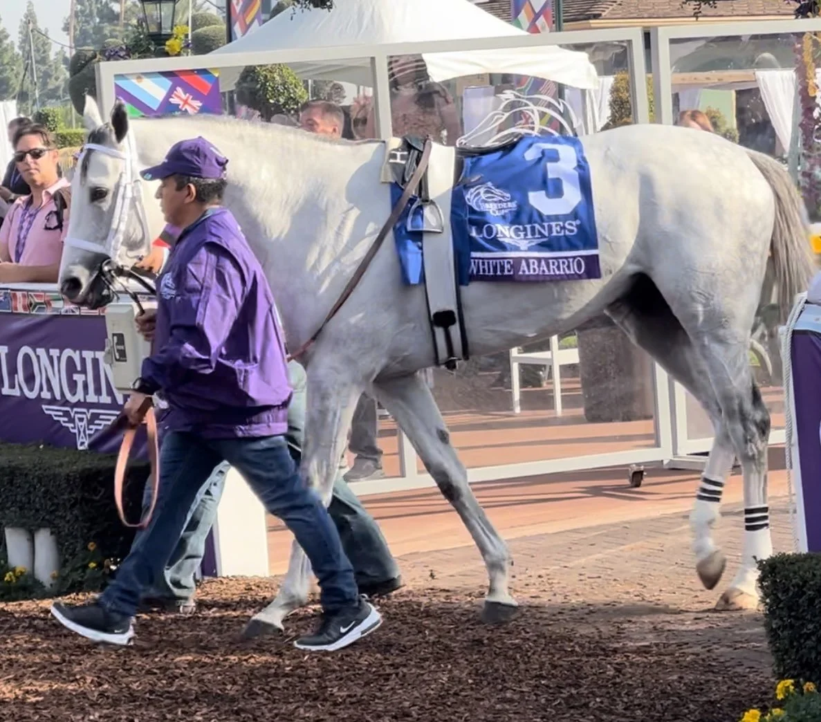 White Abarrio Stuns Sovereignty and Journalism in Oaklawn Handicap Upset