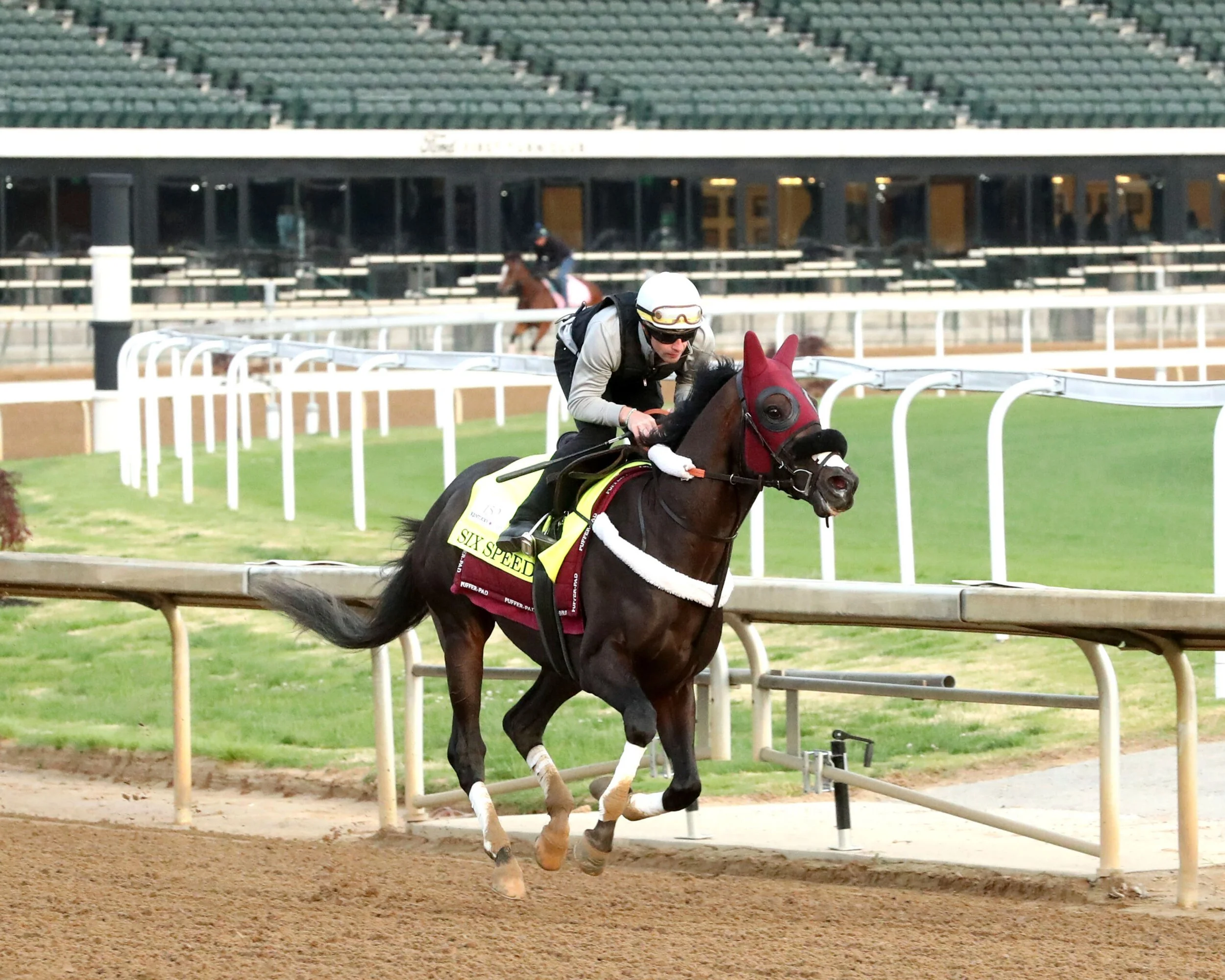 Dosage, Pedigree &amp; 10 Furlongs: Which 2026 Kentucky Derby Horses Are Bred to Go the Distance